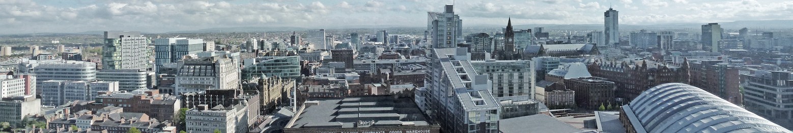 Skyline Banner.jpg