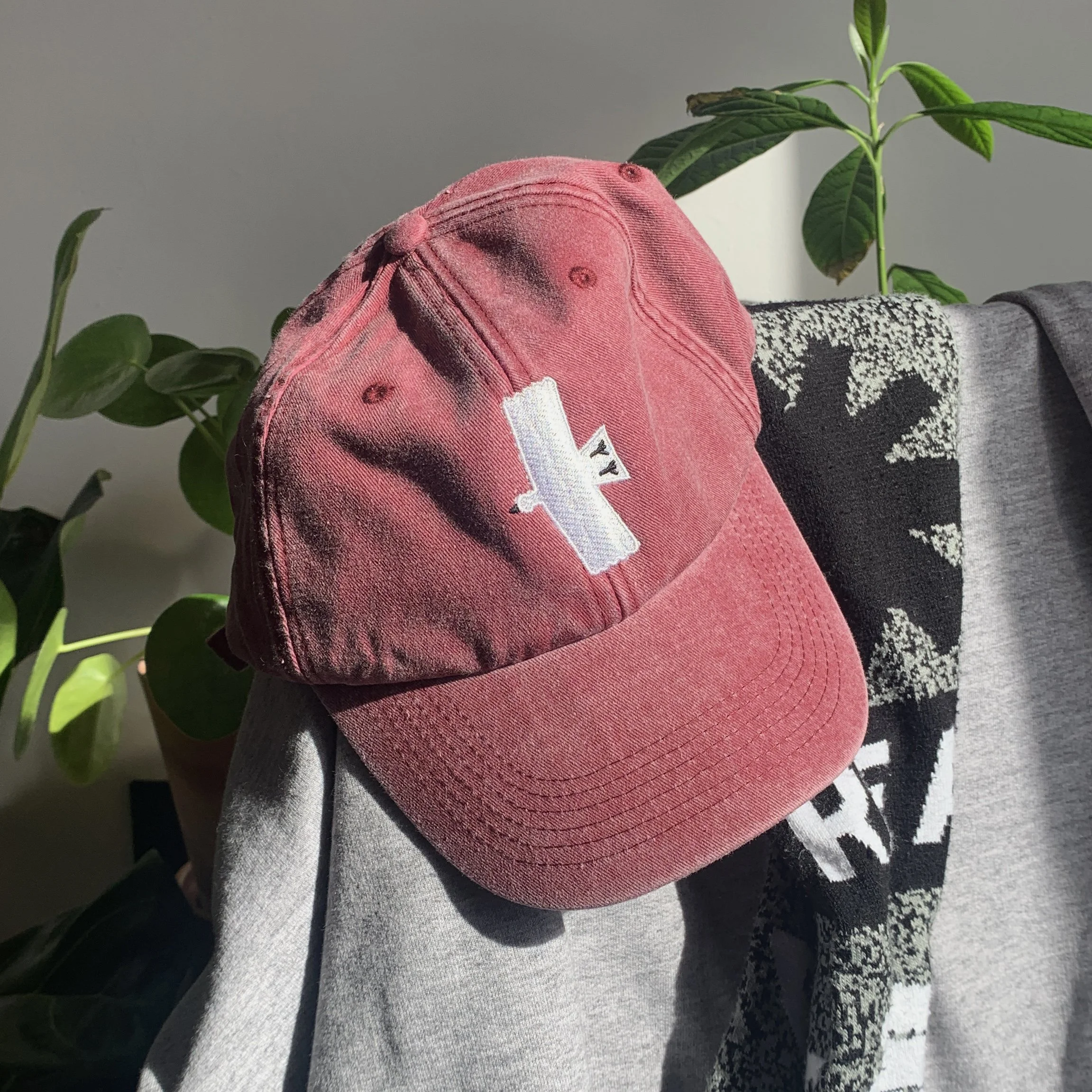 redcap_edit.jpg