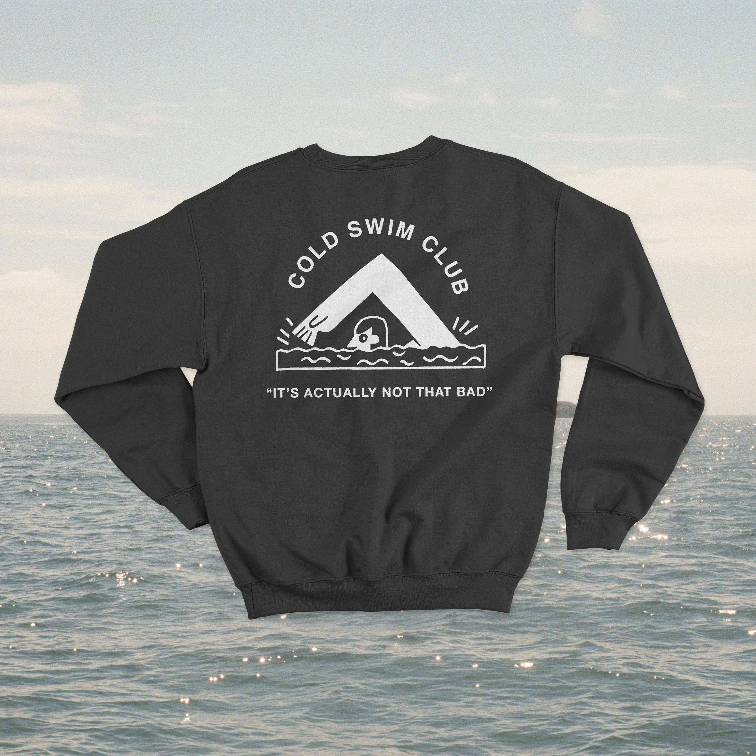 black_back_seapoint.jpg
