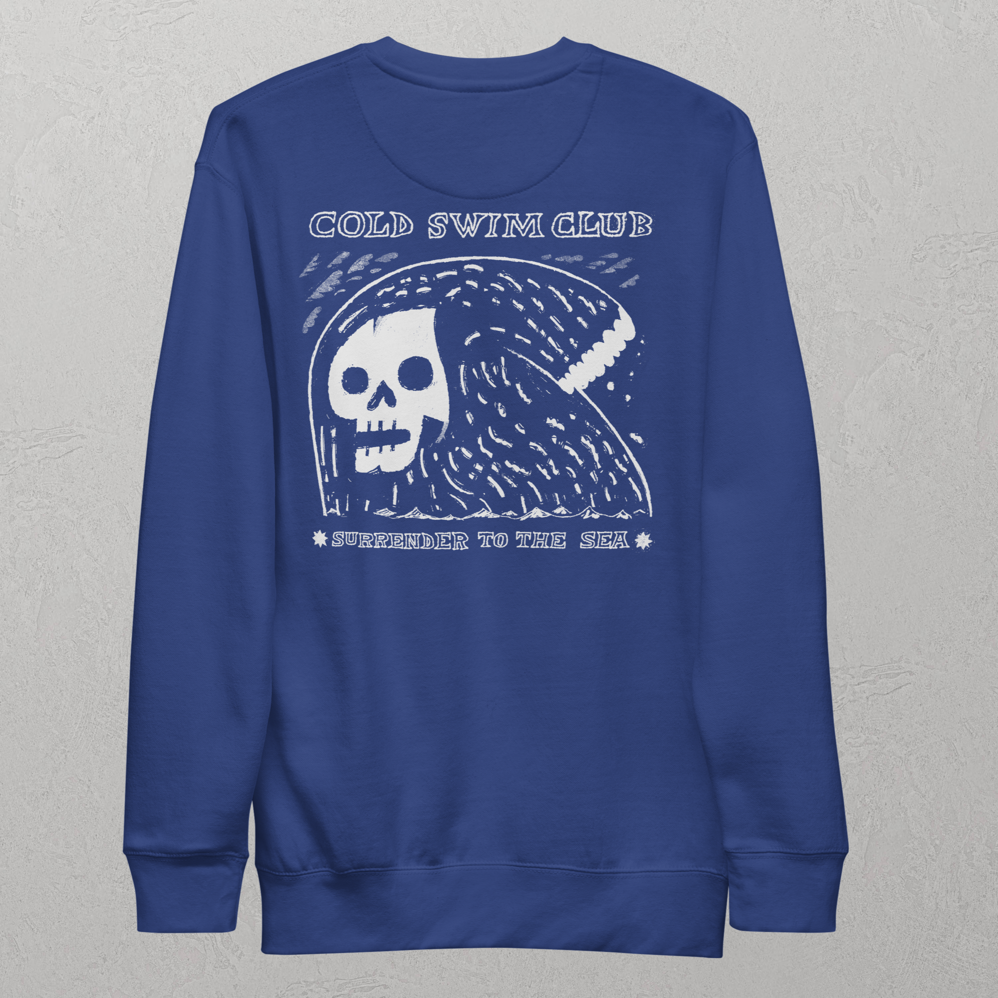 unisex-premium-sweatshirt-team-royal-back-6ae49ff53ca2d.JPG