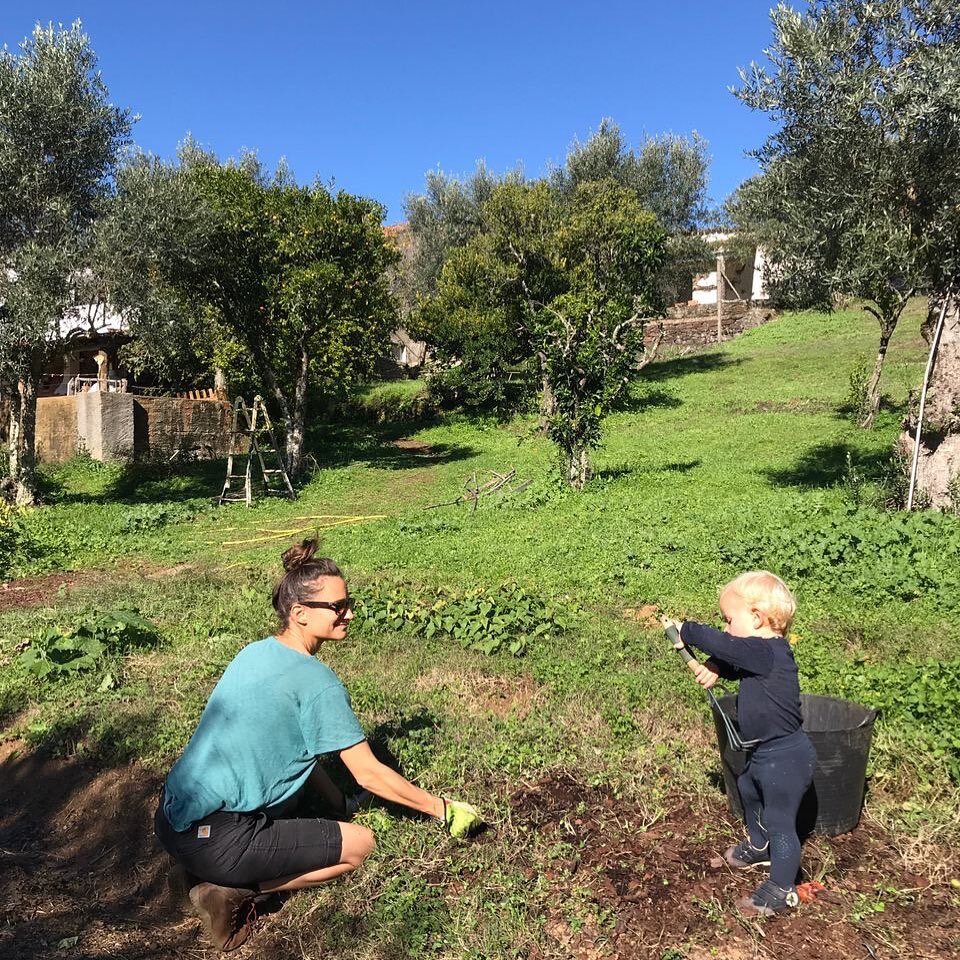 I&rsquo;ve said no to new projects in November, December and January. Will only do a few exciting things but main focus is to ensure I have enough space and stillness to fully enjoy our time here on the farm. Take the learnings in. Embody them. Today