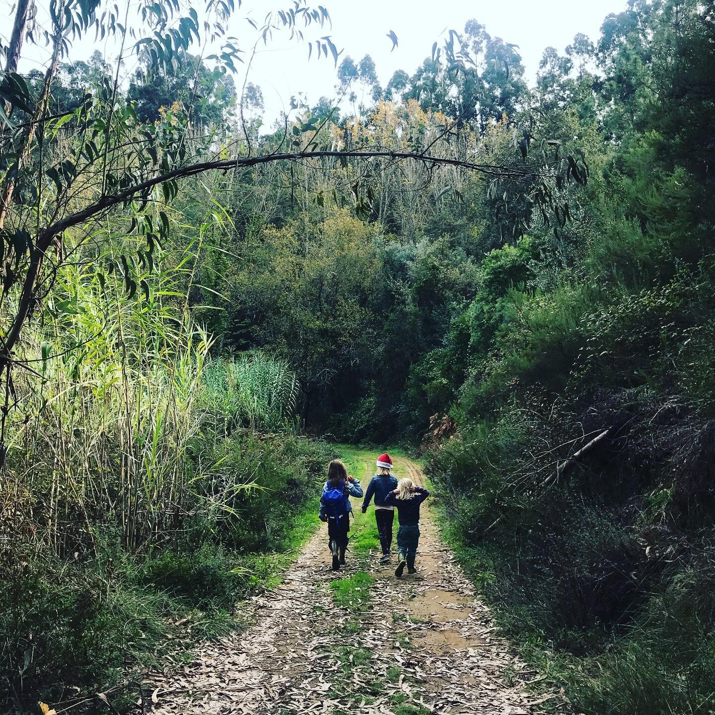 This is their classroom ❤️ Moving here has all kinds of transactional costs - and this week time spent dealing with rigid bureaucracy has been.... crazy - but this is a classroom I&rsquo;m thrilled to offer my kids.