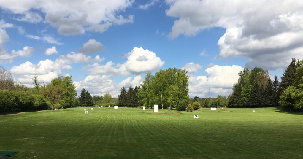 professional shuttle bat