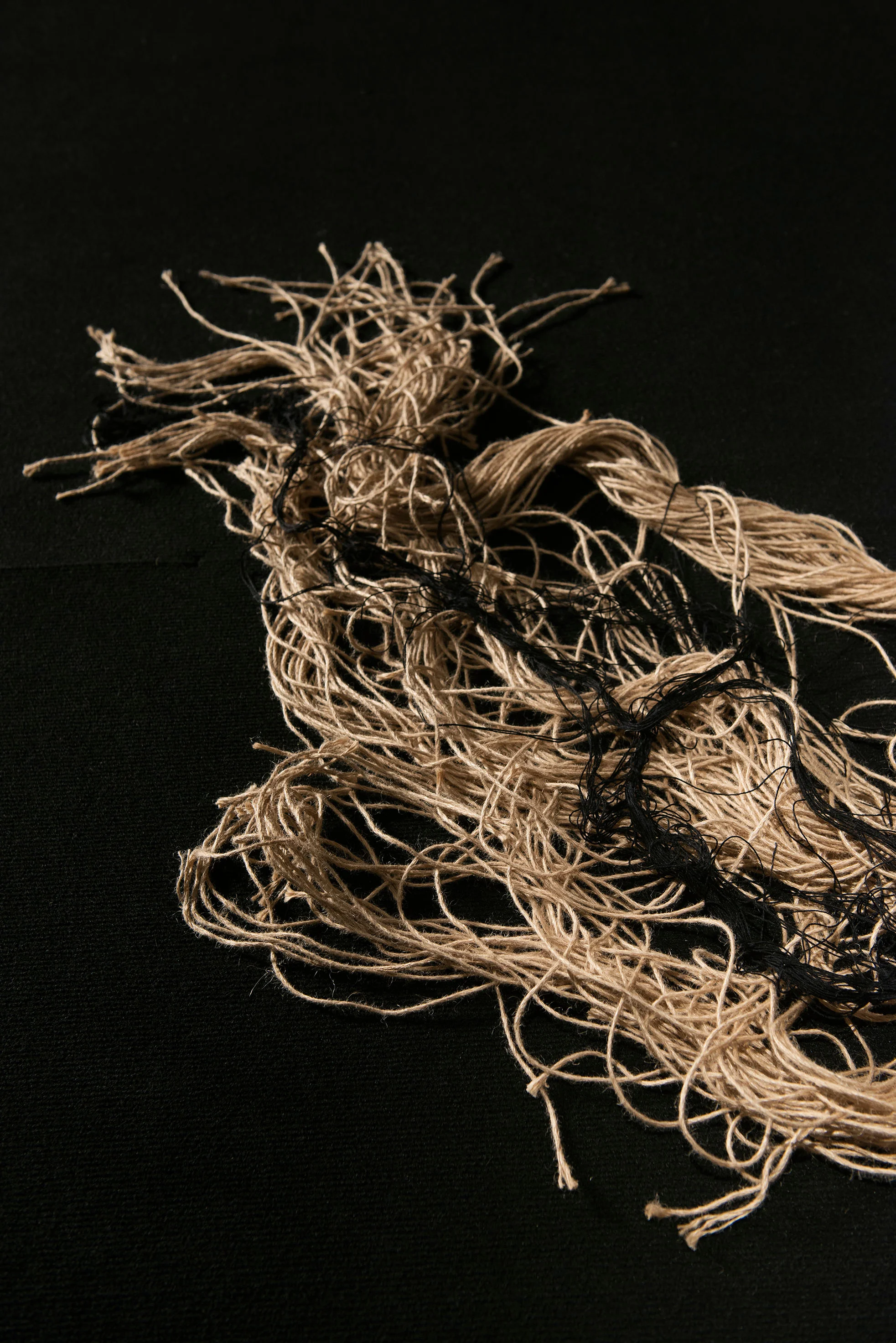 naturalhistory_141014_0052.jpg