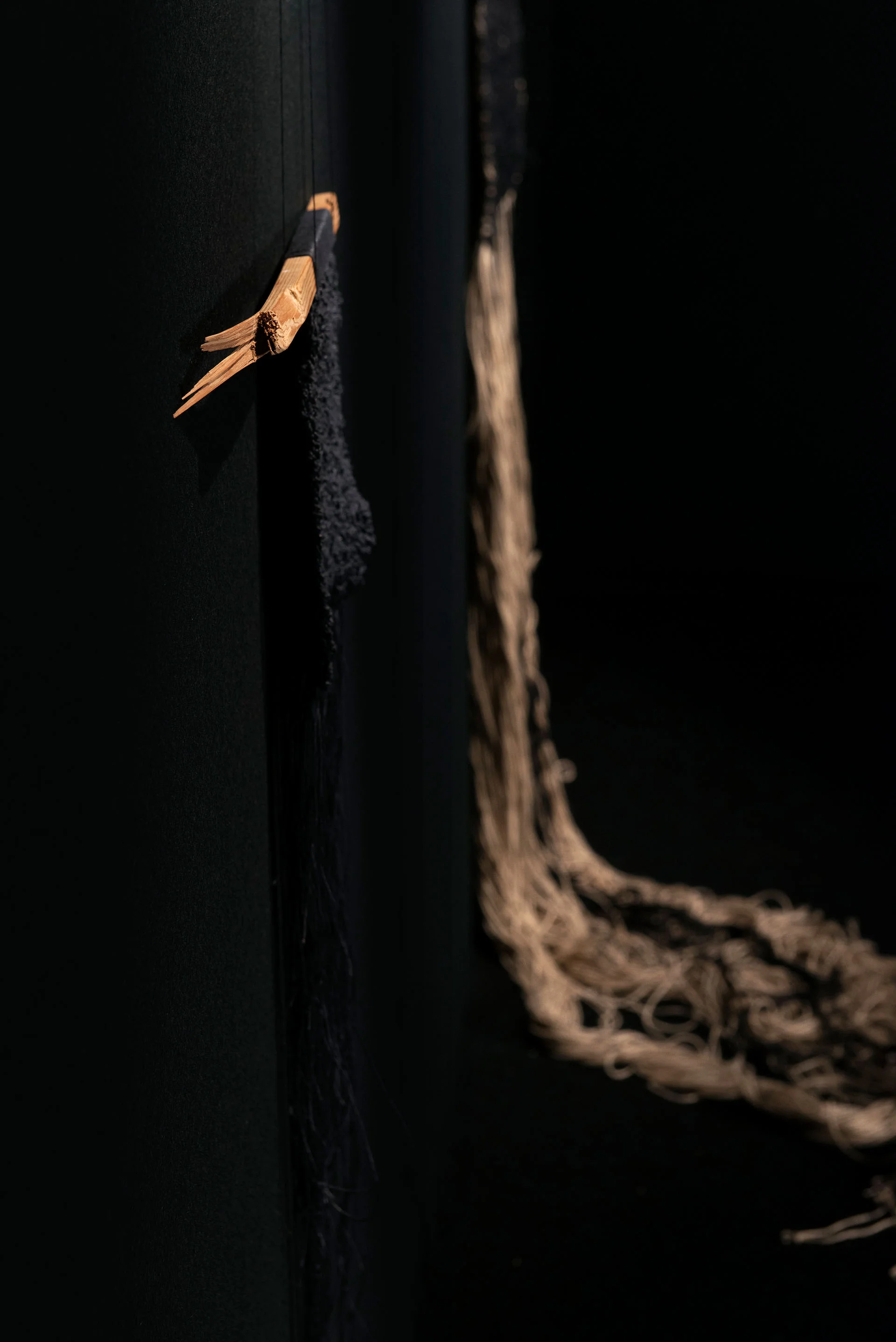 naturalhistory_141014_0080.jpg
