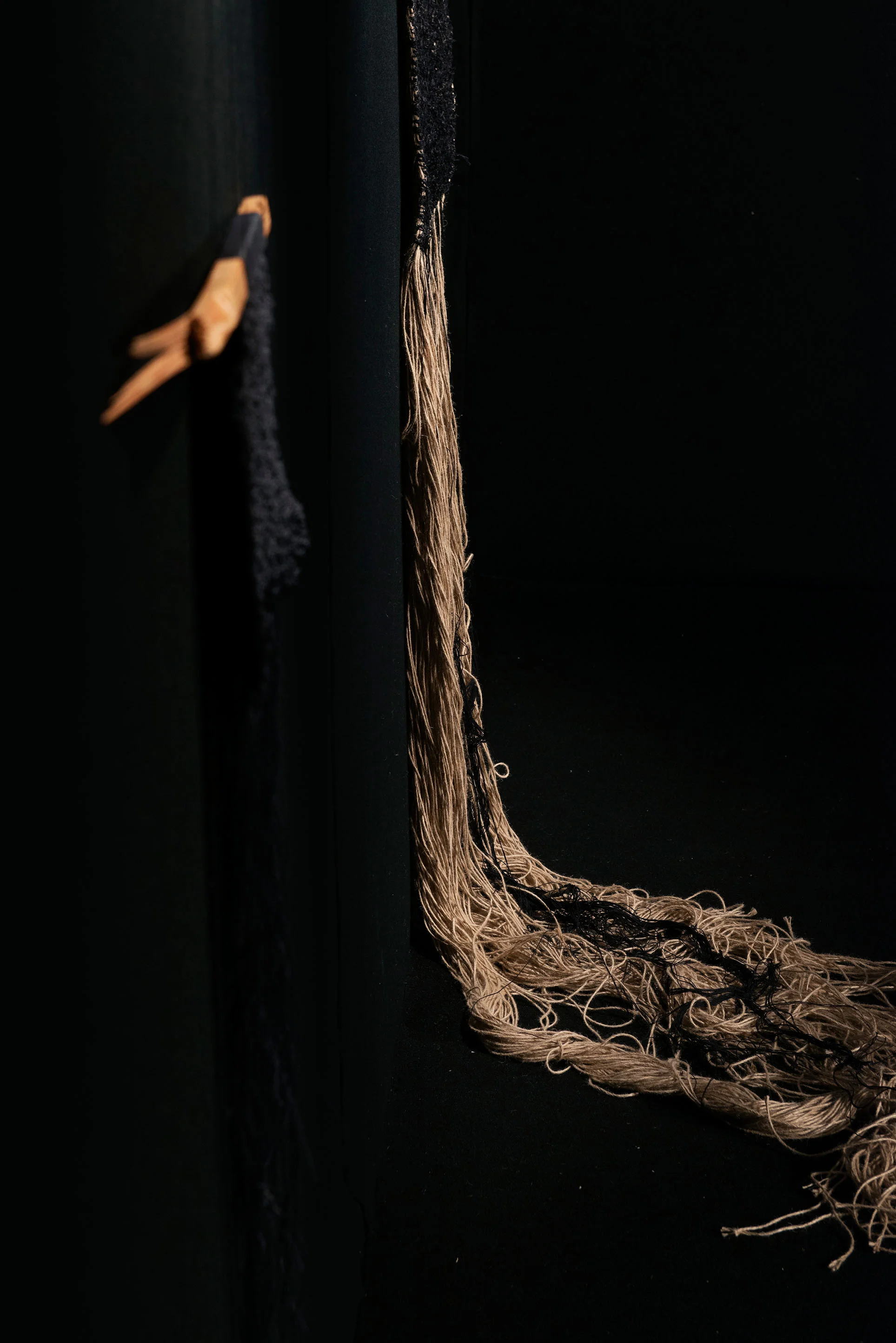 naturalhistory_141014_0081.jpg