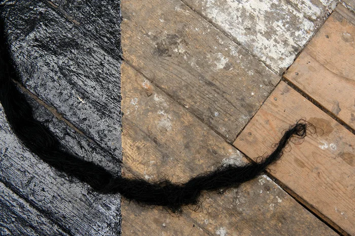 0000050447.jpg