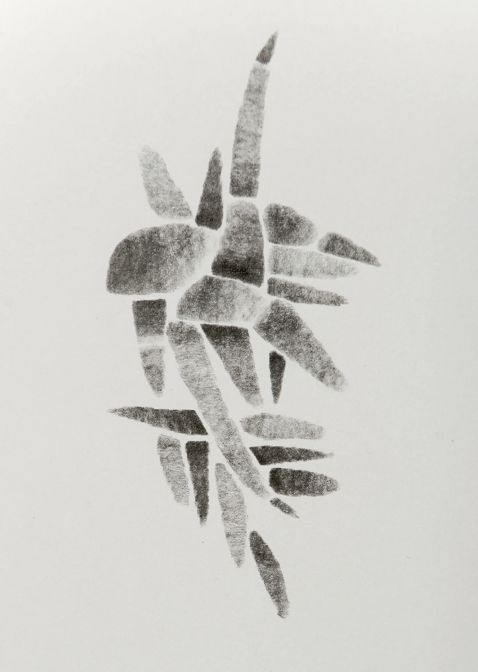 bw_19.jpg