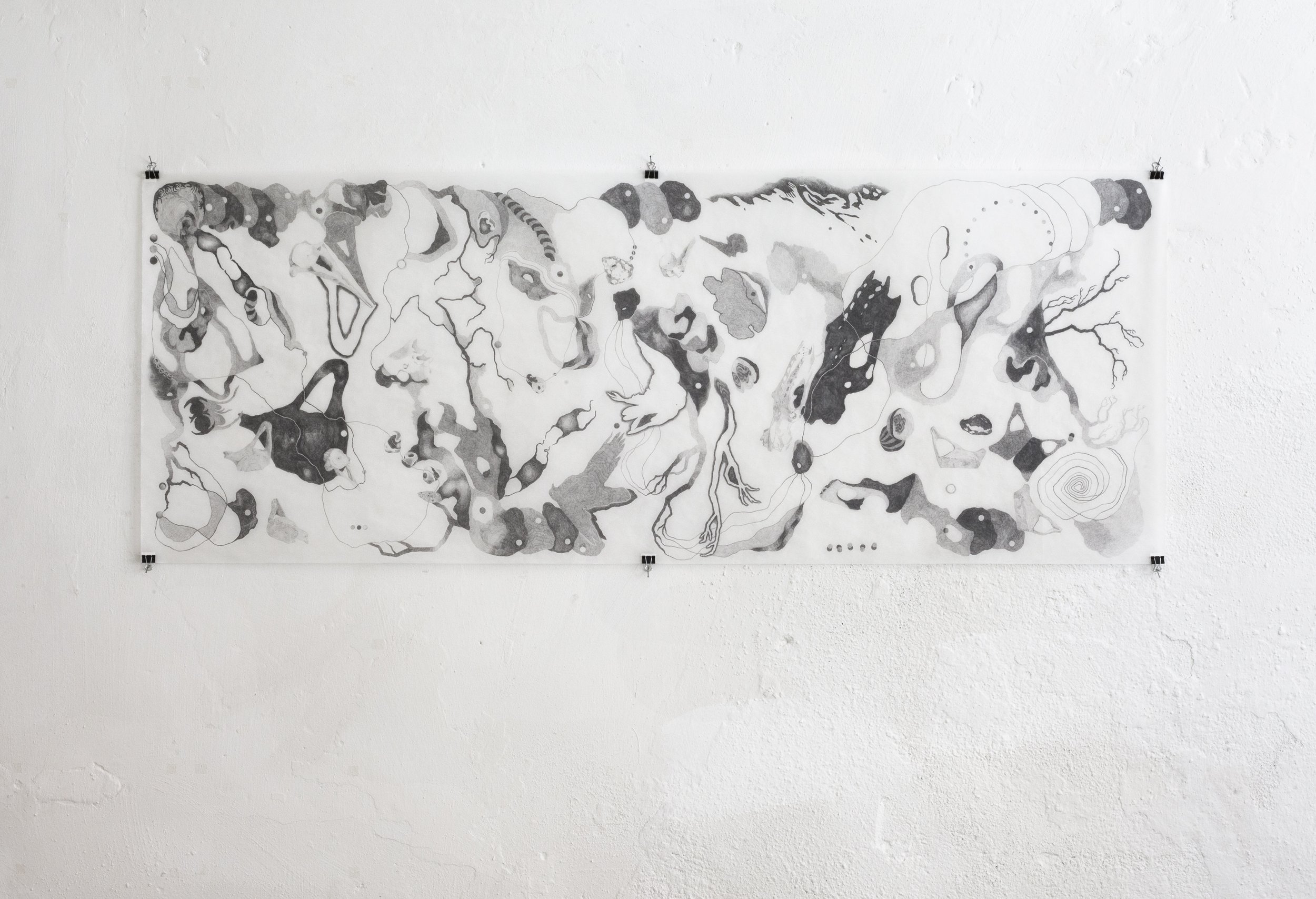 Vestiges, 2025, Una H. Colquhoun, pencil on paper