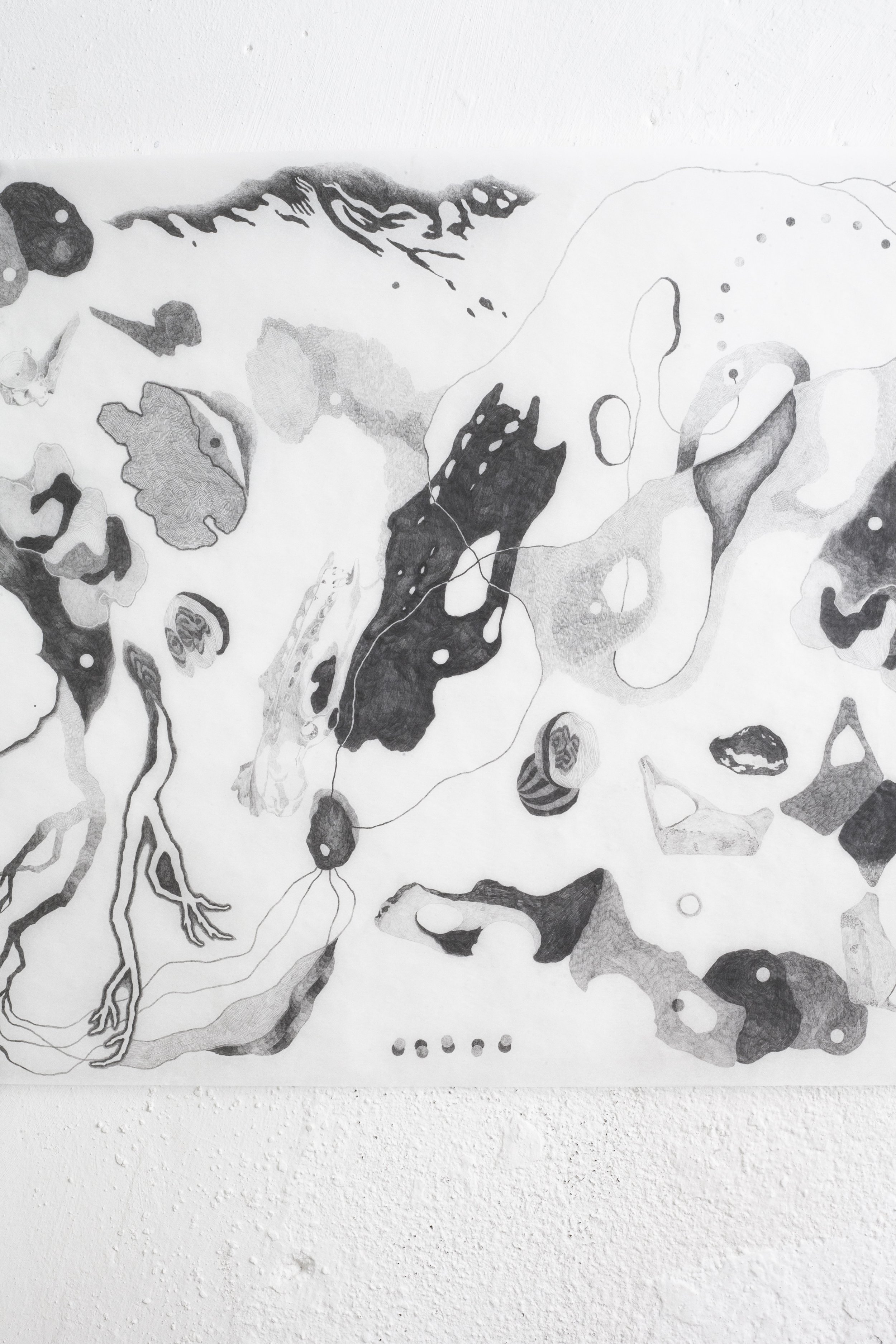 Vestiges, 2025, detail, Una H. Colquhoun