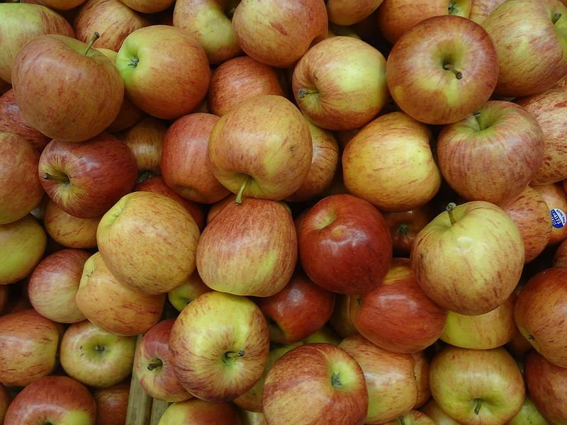 Harvest Festival 