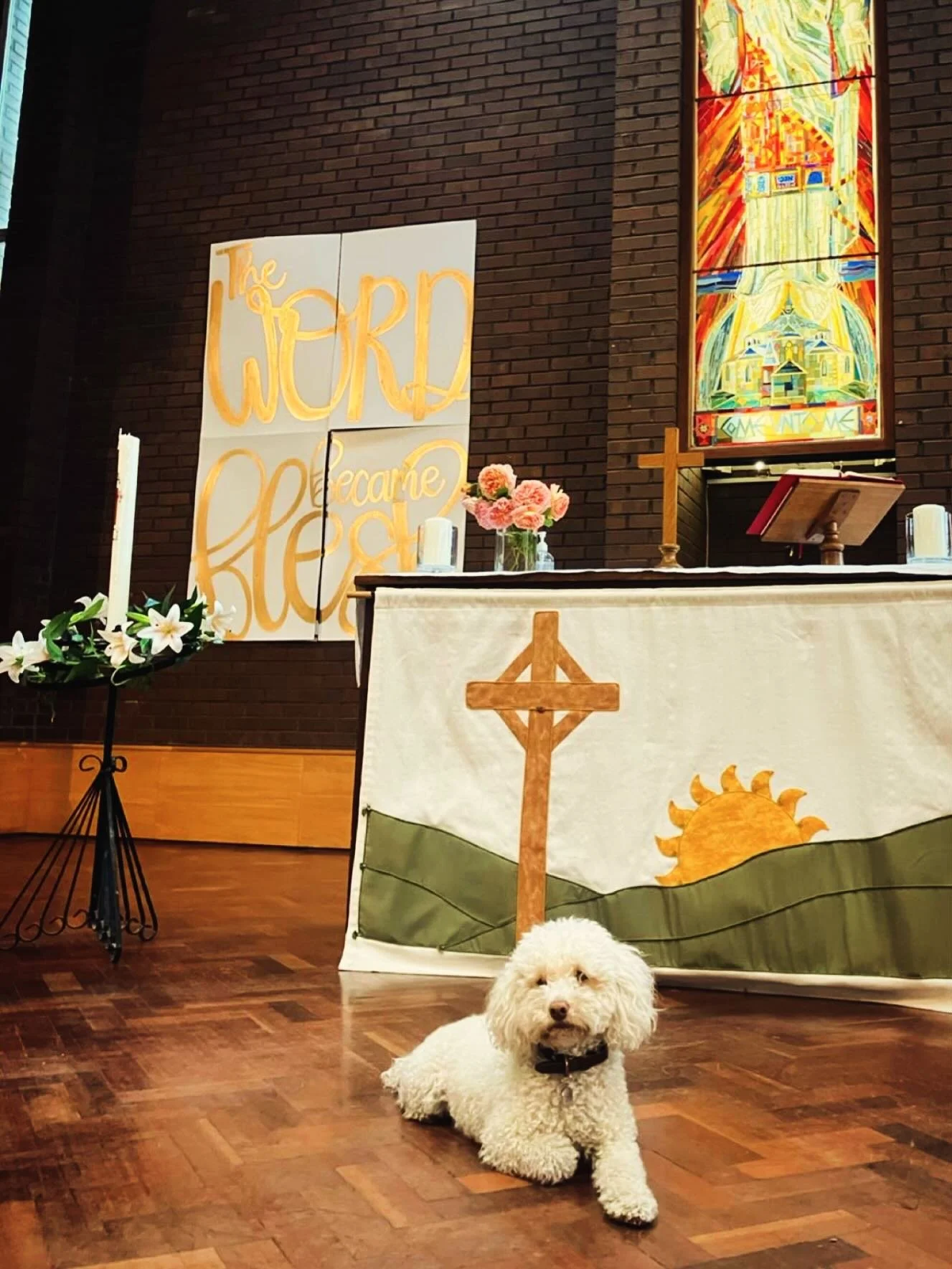 Resting in God&rsquo;s Presence. 🐶

Happy Sunday from St George&rsquo;s! Everyone (including pets) is welcome. 🌈🐾

#petfriendlychurch #tufnellpark #dogsinchurch