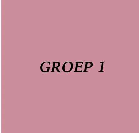 Groep ONE     