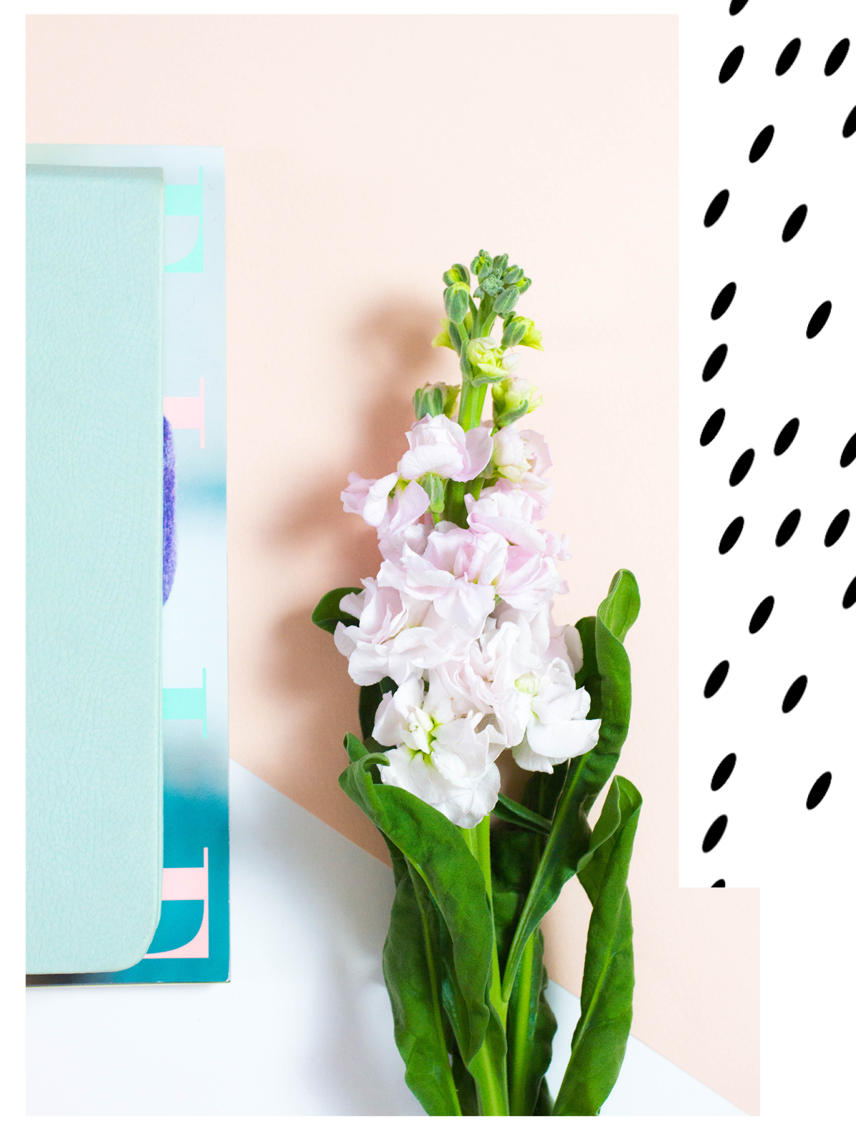 allie-etc-re-brand-digital-layout3.png