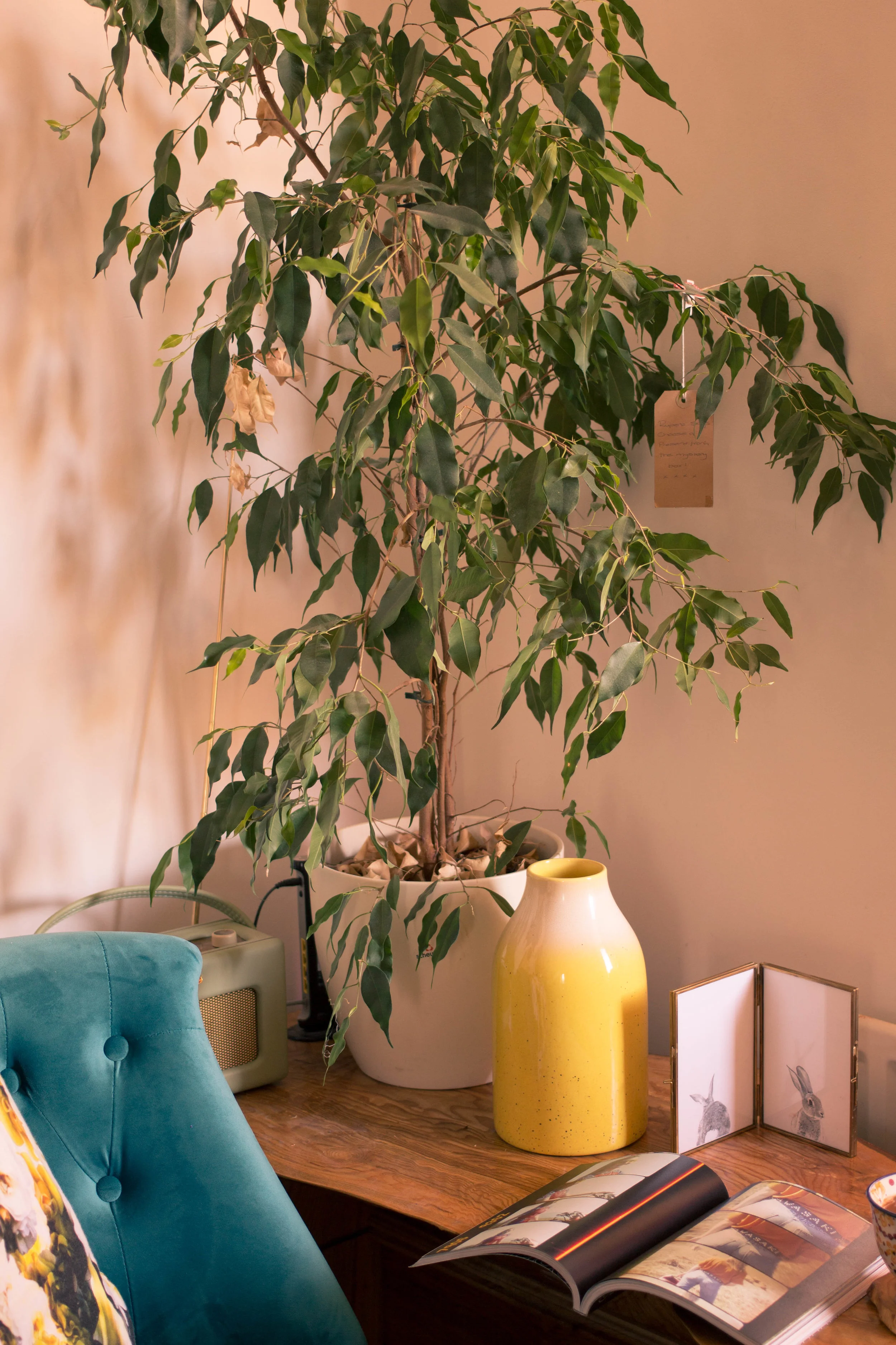 Styling-a-cosy-corner-rush-and-teal-3.jpg