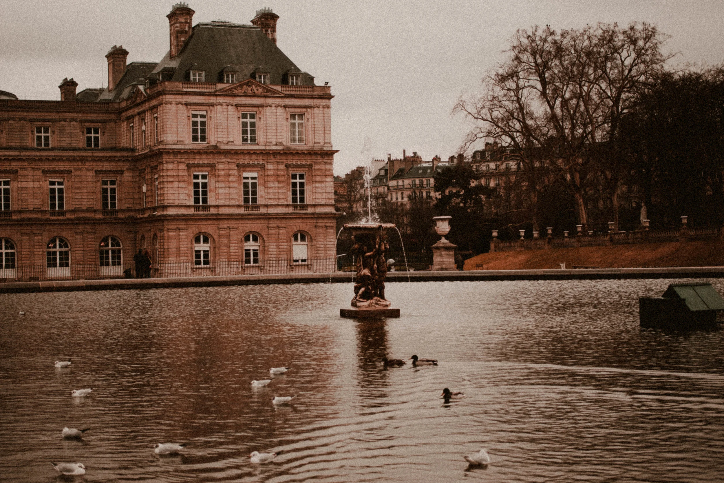 Paris Diary Rush and Teal-13.jpg