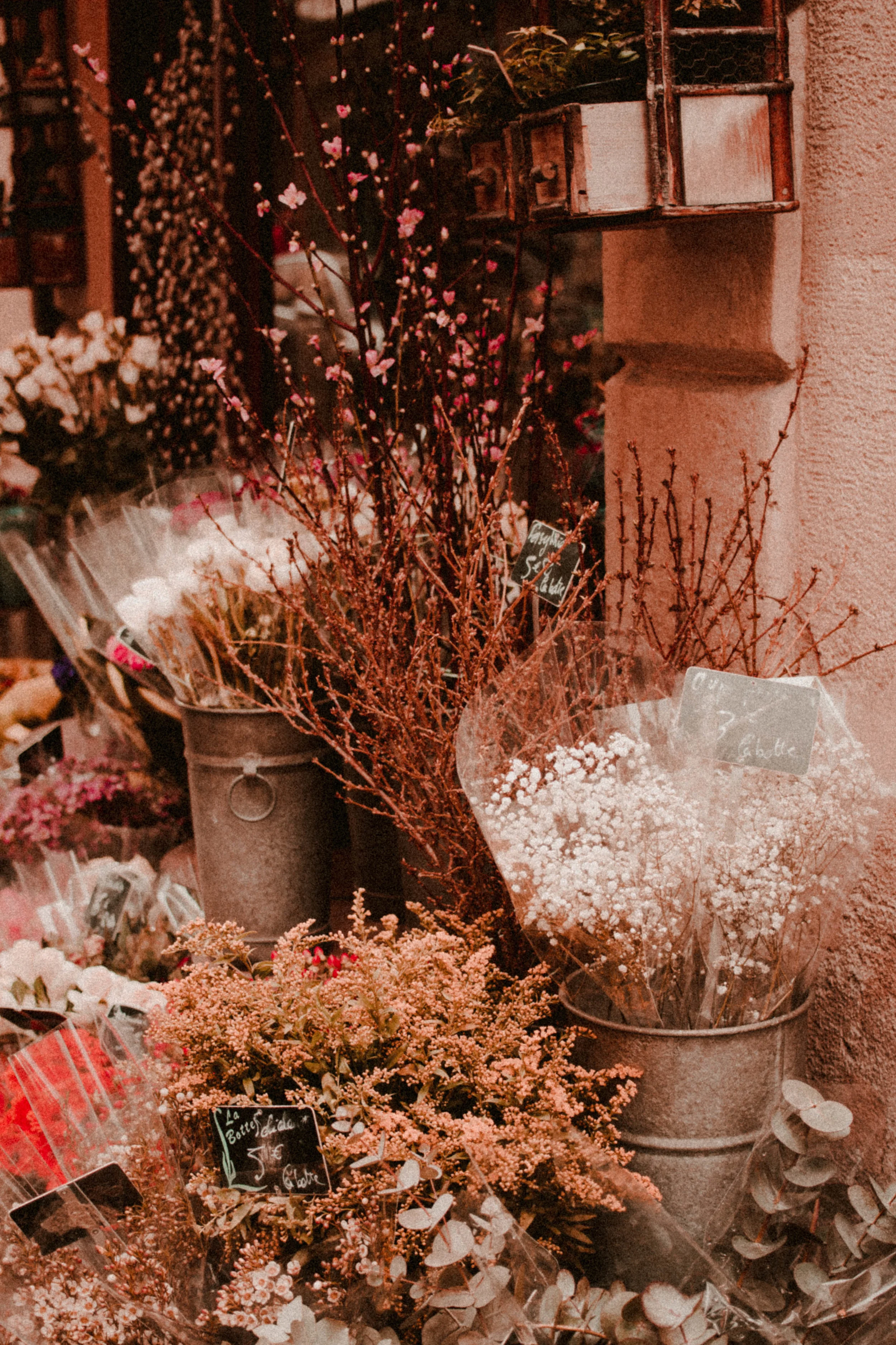 Paris Diary Rush and Teal-6.jpg