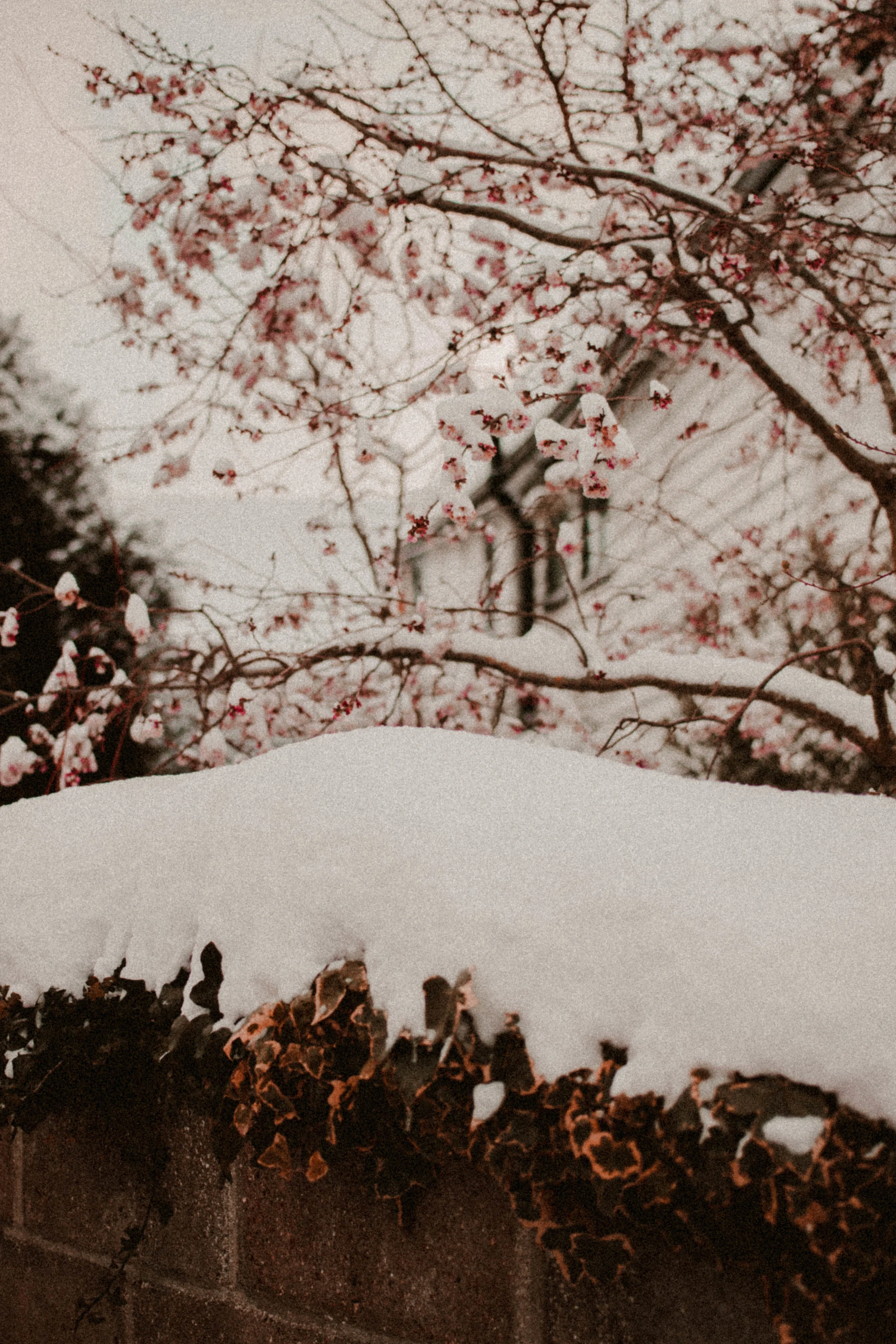 Photography by Eliza Borrett / Editing by me!