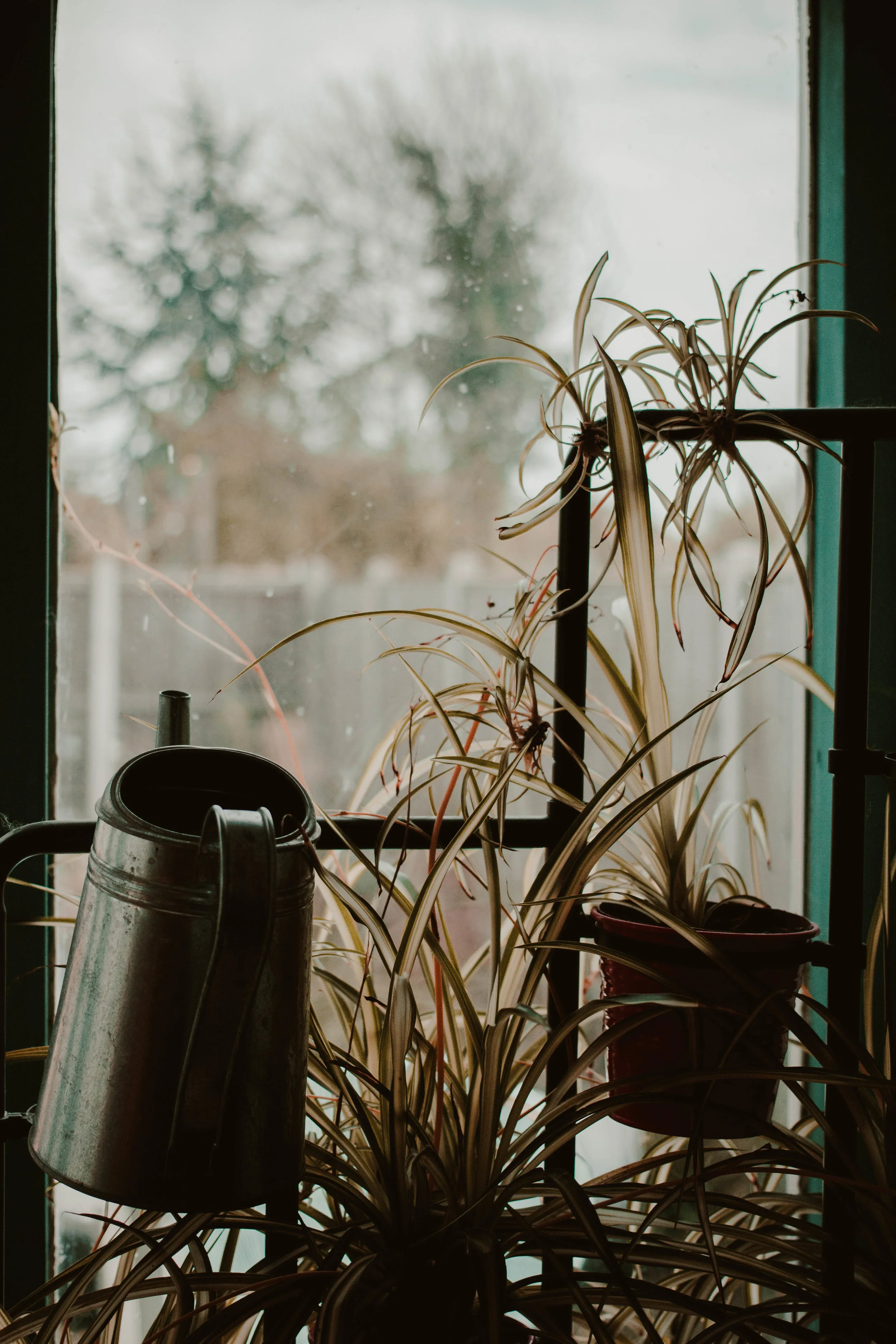 Rush and Teal Spring Summer Home Update Plans-9.jpg