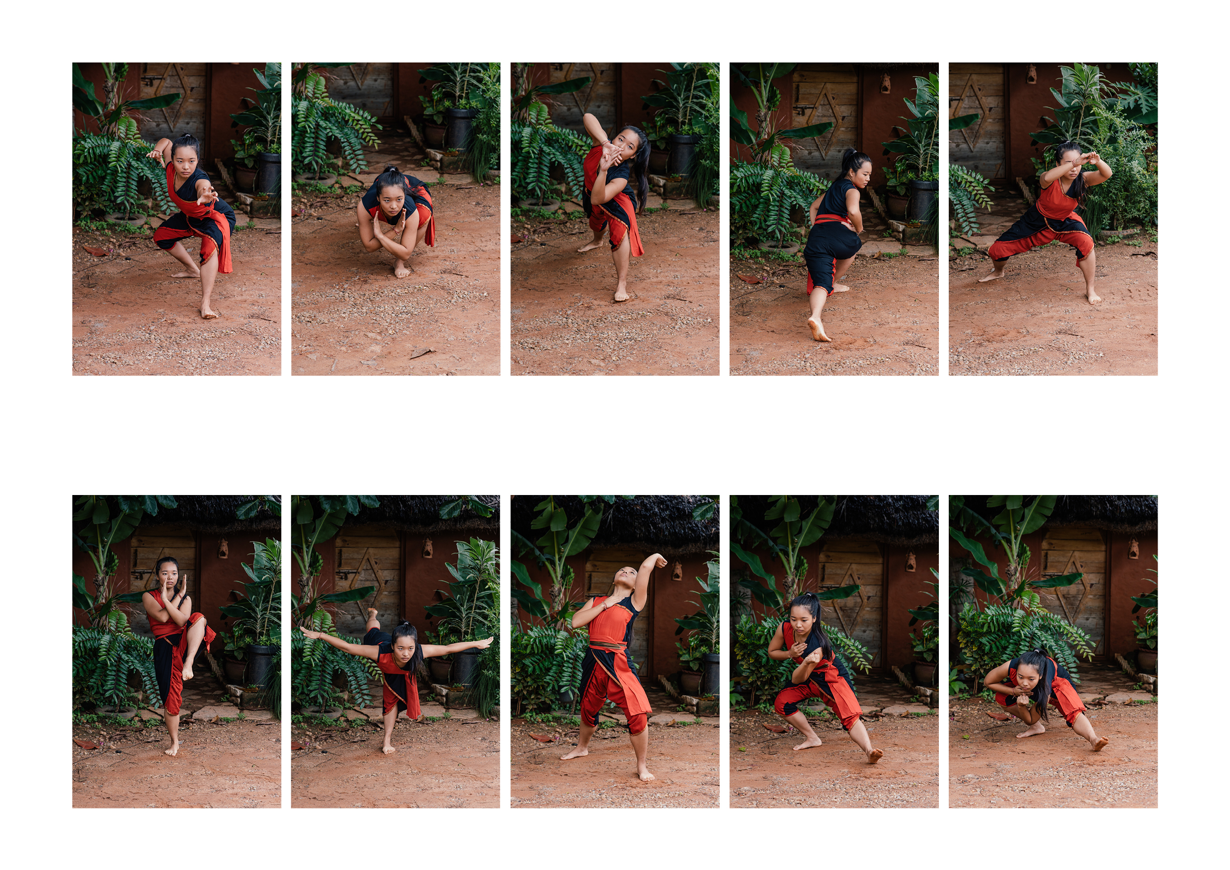 In training, students learn animal fighting postures taken from the crouching attack positions of the wild boar, elephant, cat, lion, snake, rooster, peacock and horse.