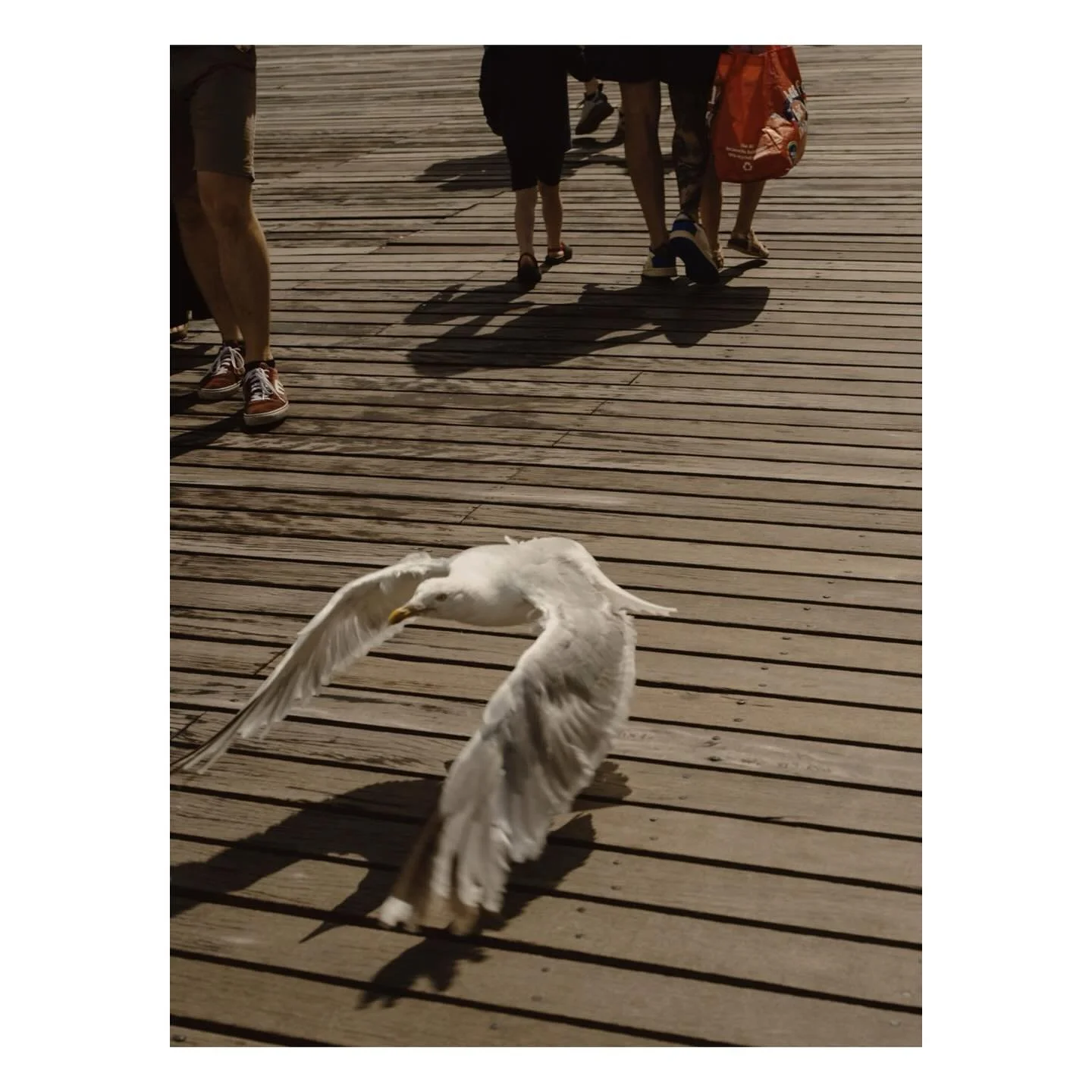 Archive: Brighton 2023 - i like to remind myself that the days won&rsquo;t always be so dark and the sun will be out again . #summer #streetphotography #mondogrossoラビリンス #mediumformatphotography #mediumformat #streetstyle #streetshooter #portraitphot