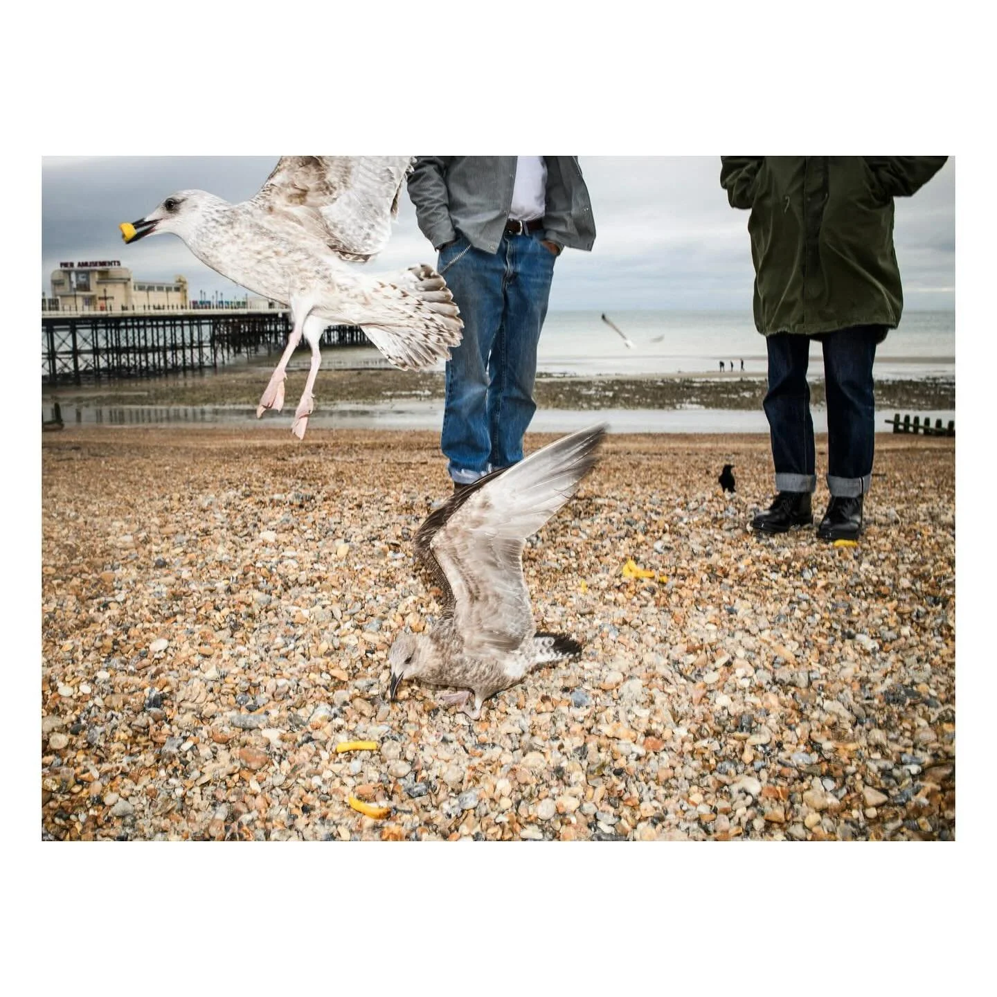 Amazing photo shoot in Worthing yesterday &hellip; stay tuned ! @solovairuk @jumpthegunuk #photoshoot #worthing #fashionphotography #fashionshoots #modelshoot #editorialphotography #fashion #boots #flashphotography
