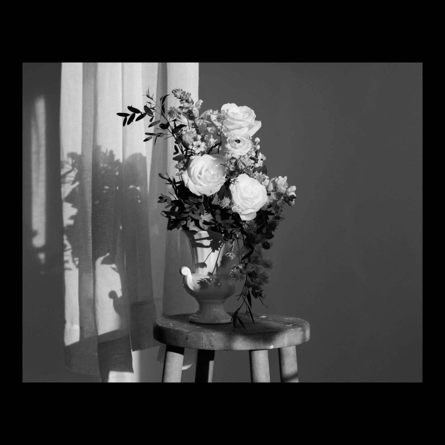 In the studio with flowers #flowerphotography #studioshoot #nikonz9 #blackandwhitephotography #flowers