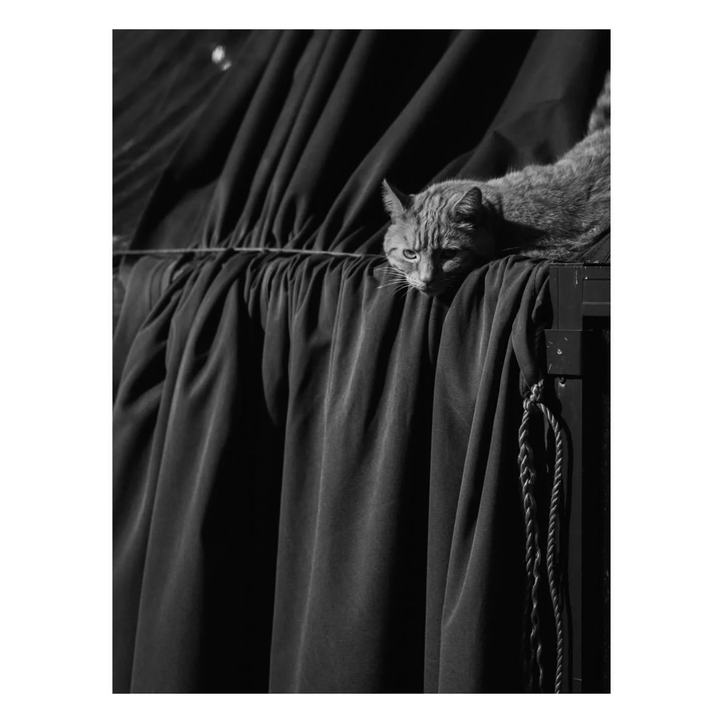 Hey kitty&hellip; Just a stylish soulful sunny day in Brighton. #brighton #streetphotography #blackandwhitephotography #streetstyle