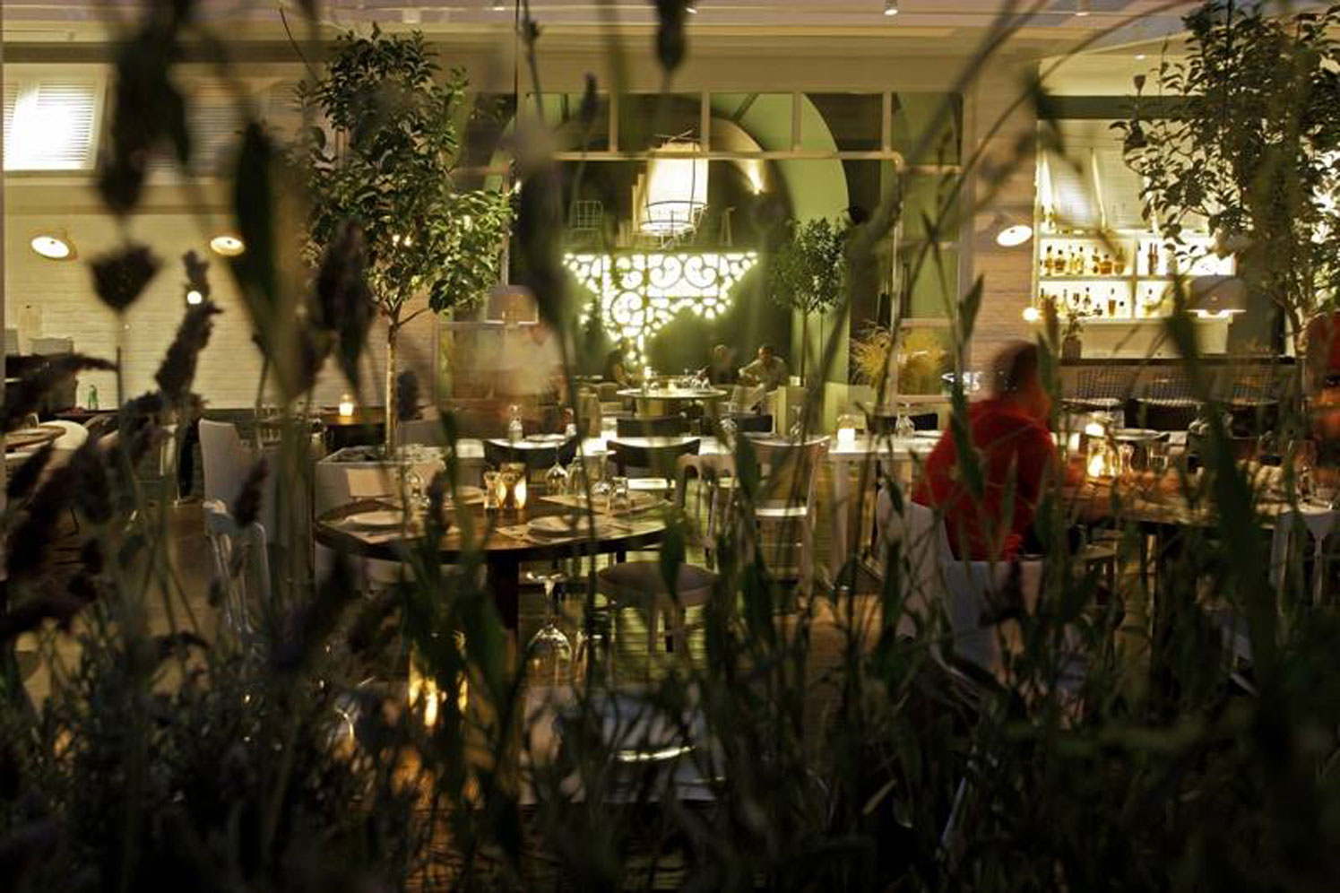 S–S/Testaccio Cucina Italiana