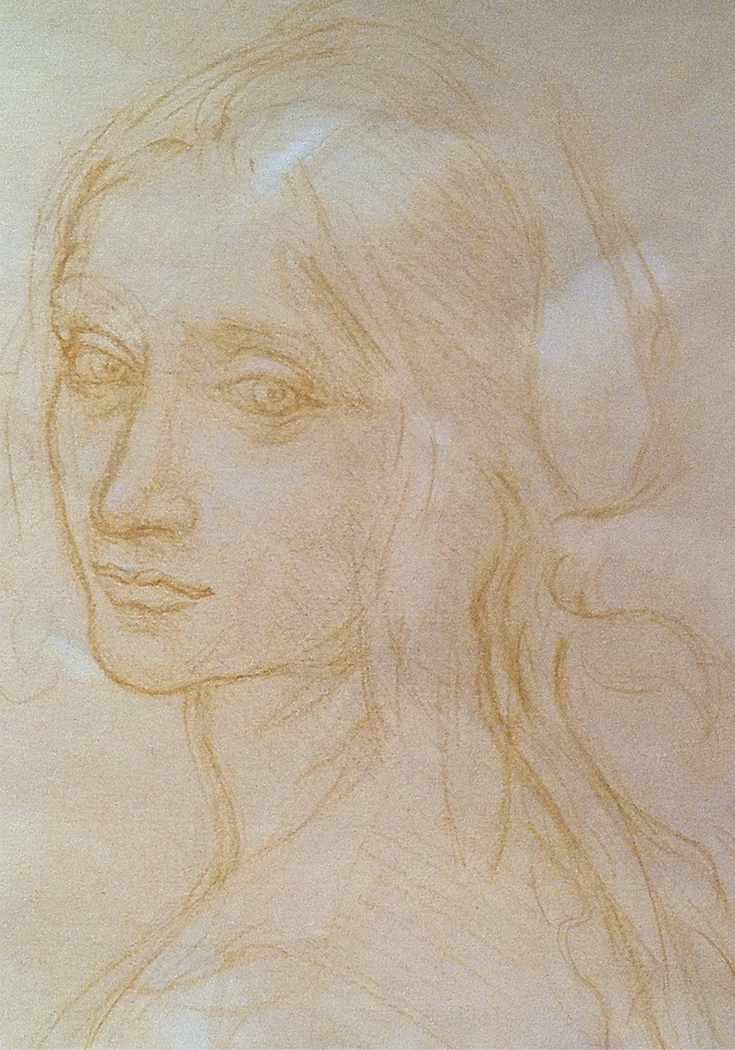 Da Vinci Study