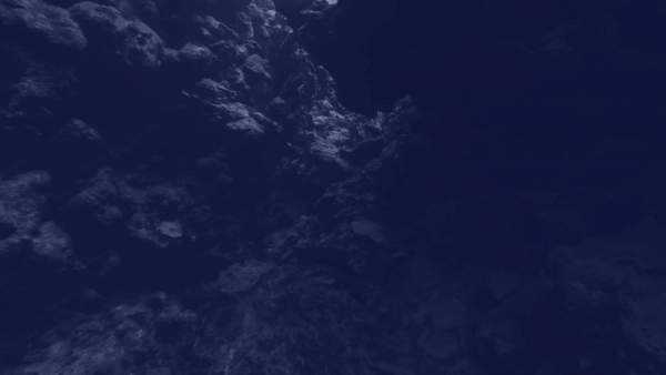 ezgif.com-video-to-gif-3.gif