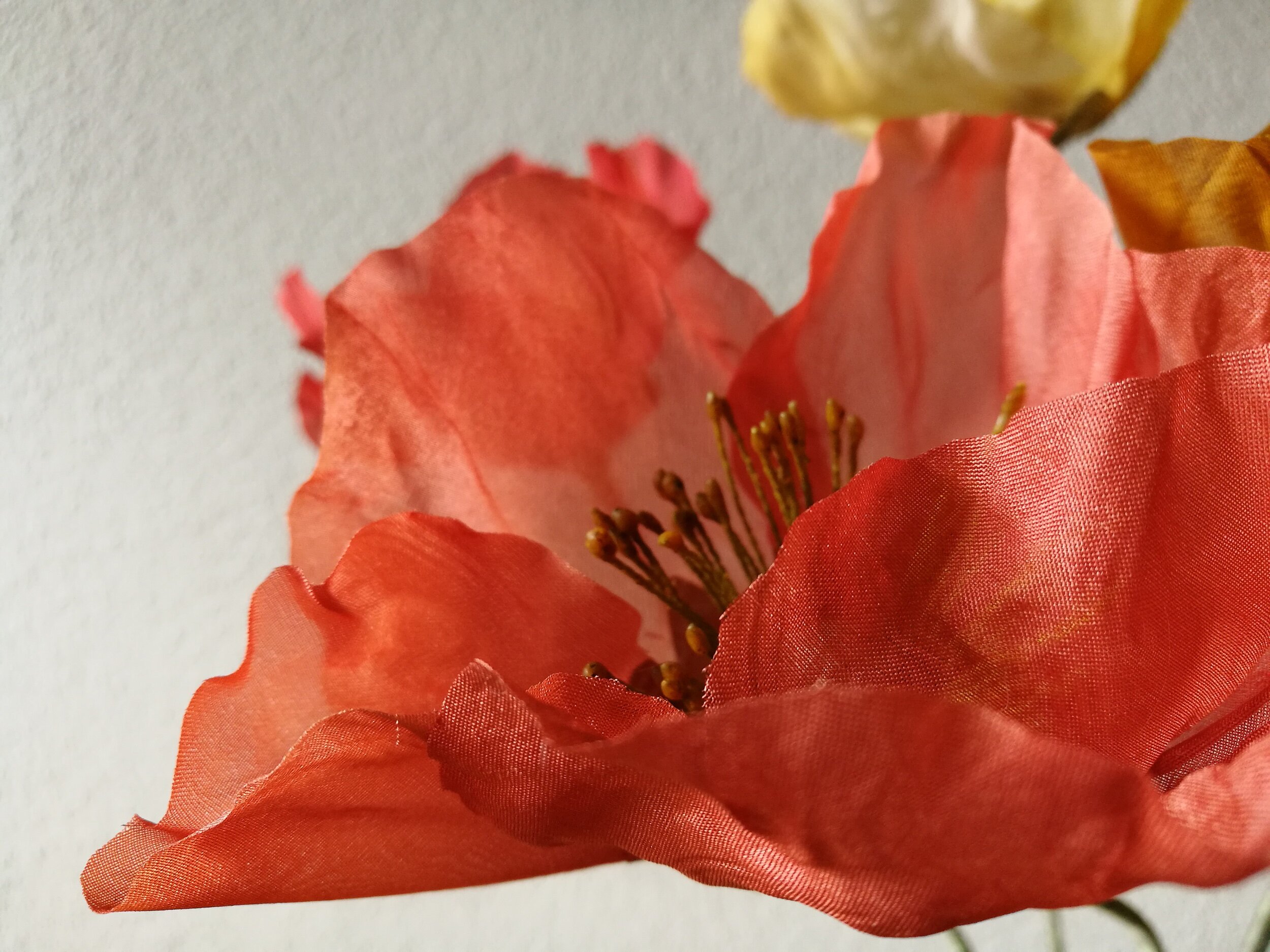 DAEB5423-A42E-4936-B92E-FE022ED8A7B5