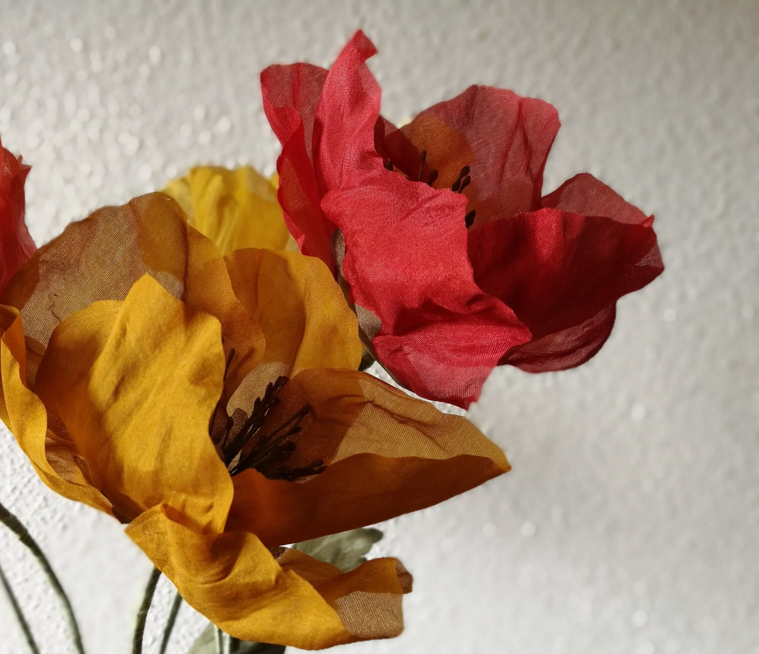 D5EC0552-7E82-427B-86E1-7EBB5F6088B1