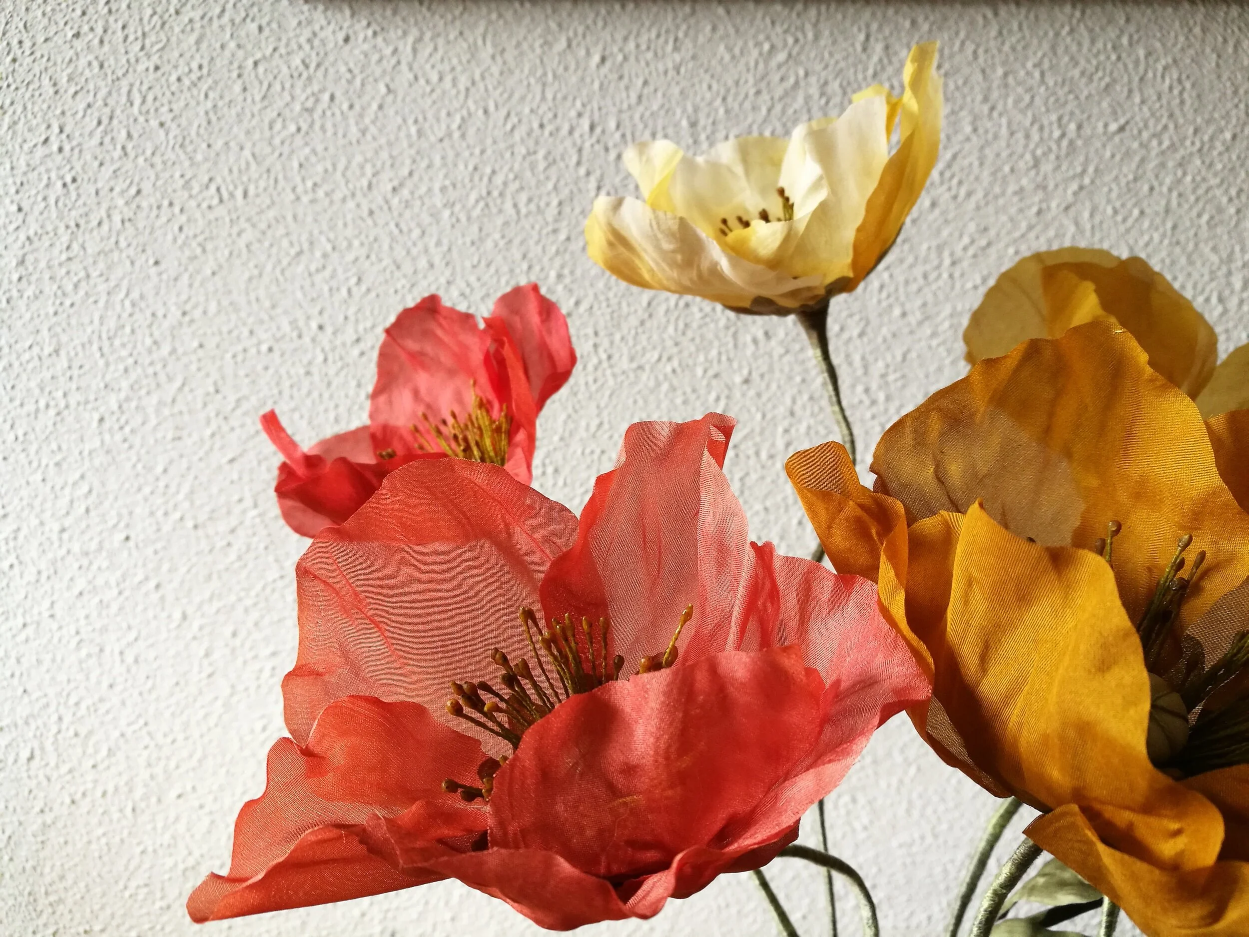 6B9D2F34-2DE8-48A7-A463-012DE2557FAC