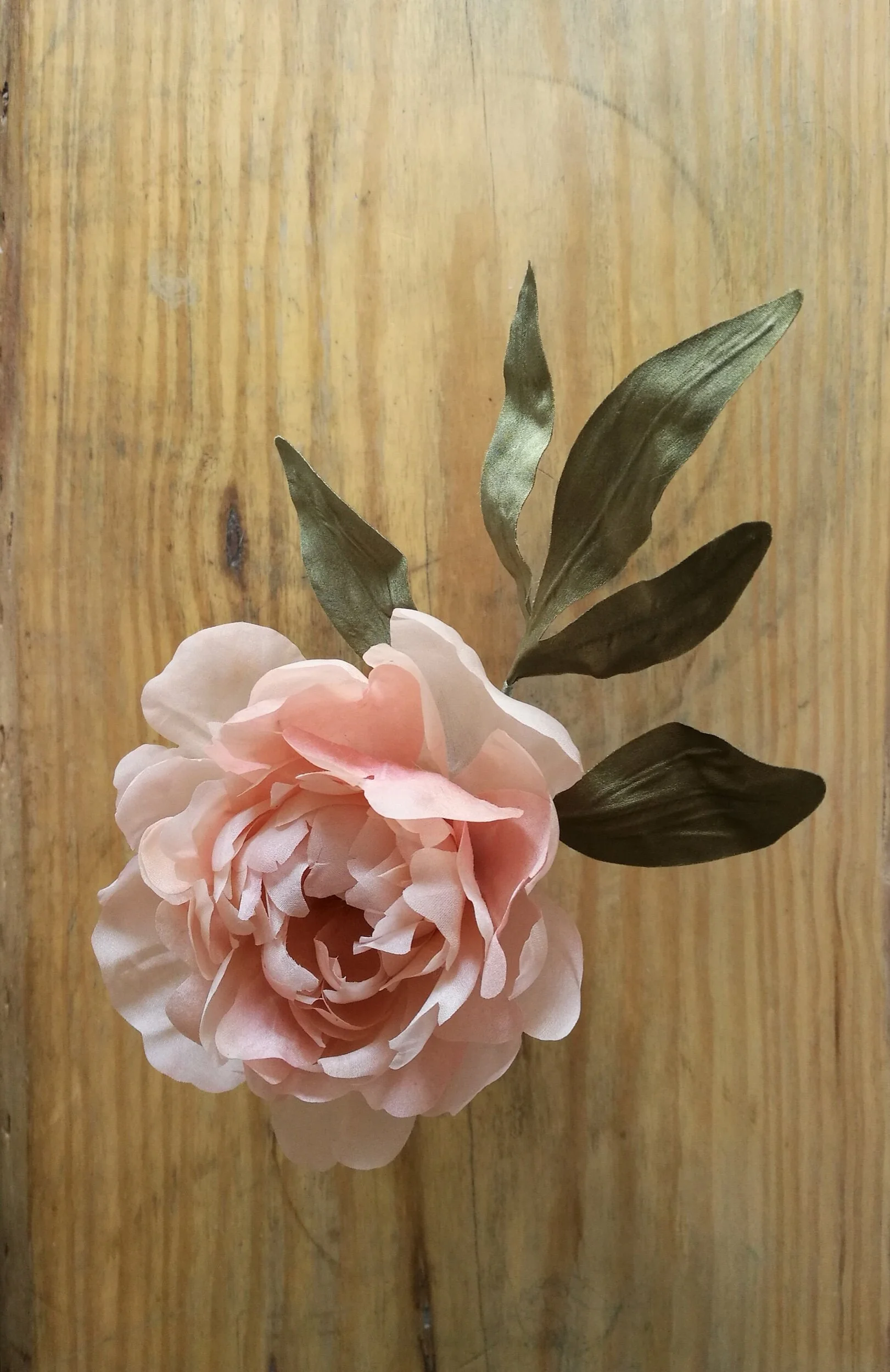 86A99980-F1BE-40ED-8DC2-8E36E570C32E