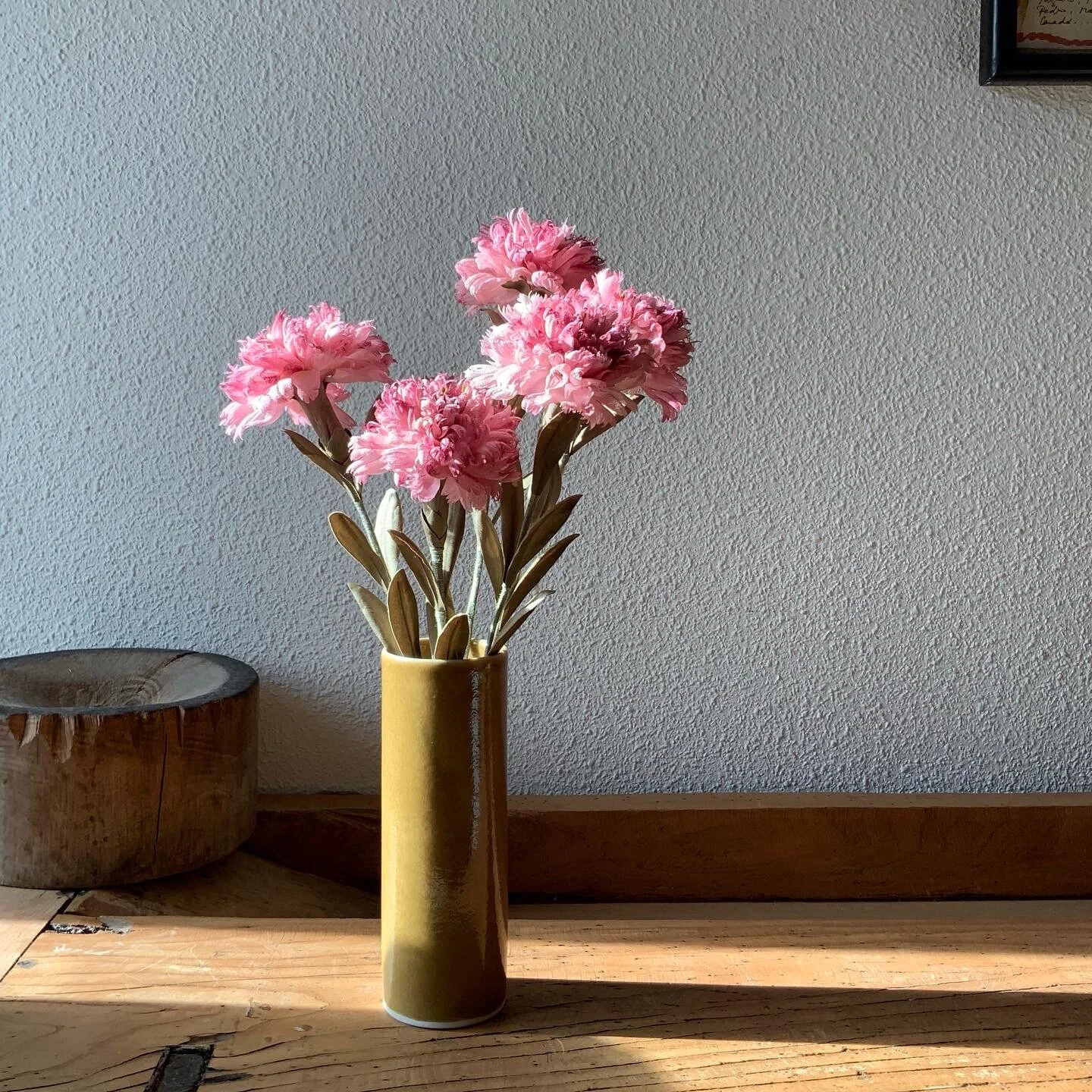 27C18784-5A4B-43D3-80E0-CCC5CE95C96D