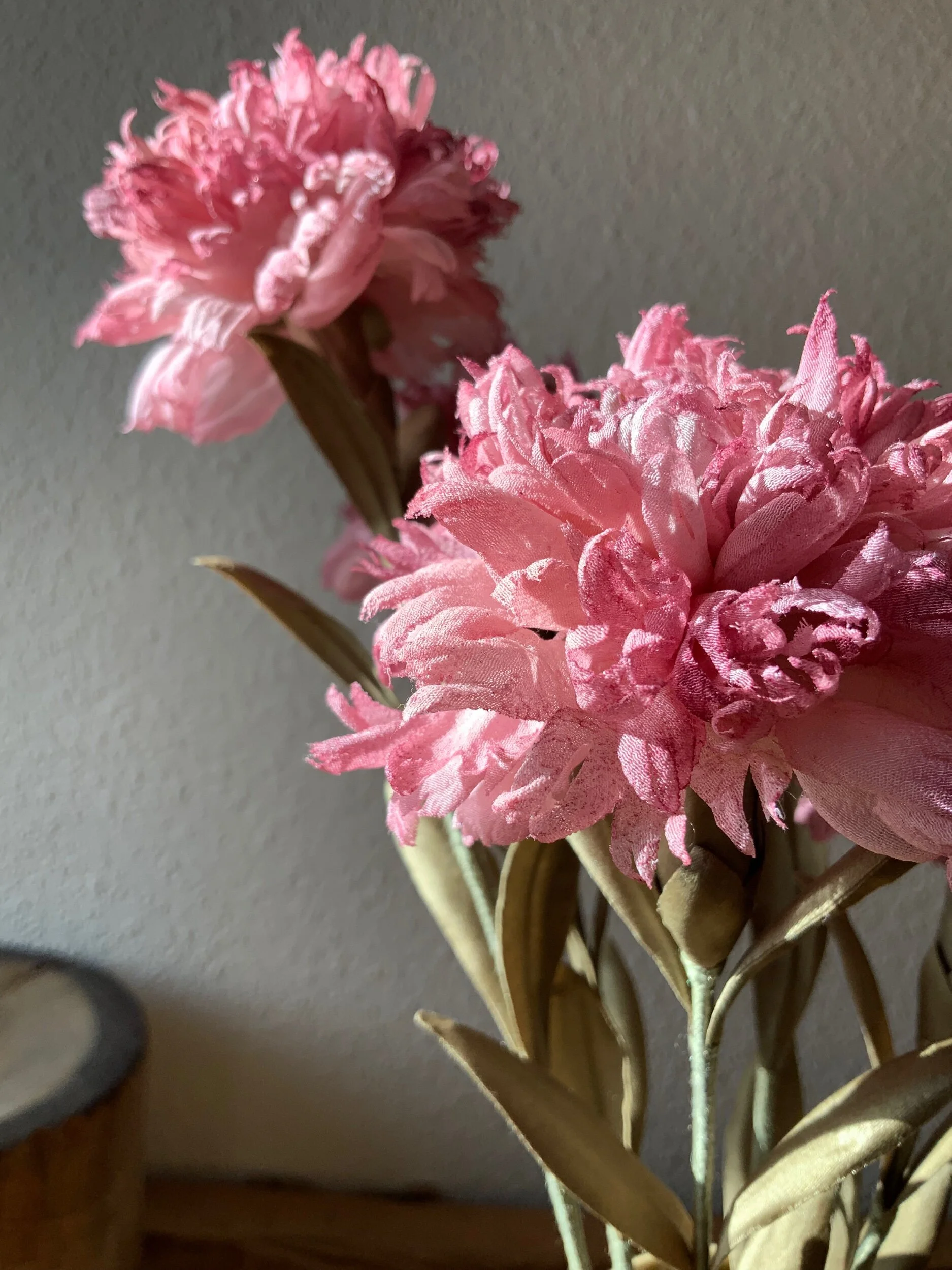 D5139A44-8659-4E7E-9A1F-8E962AB81E62