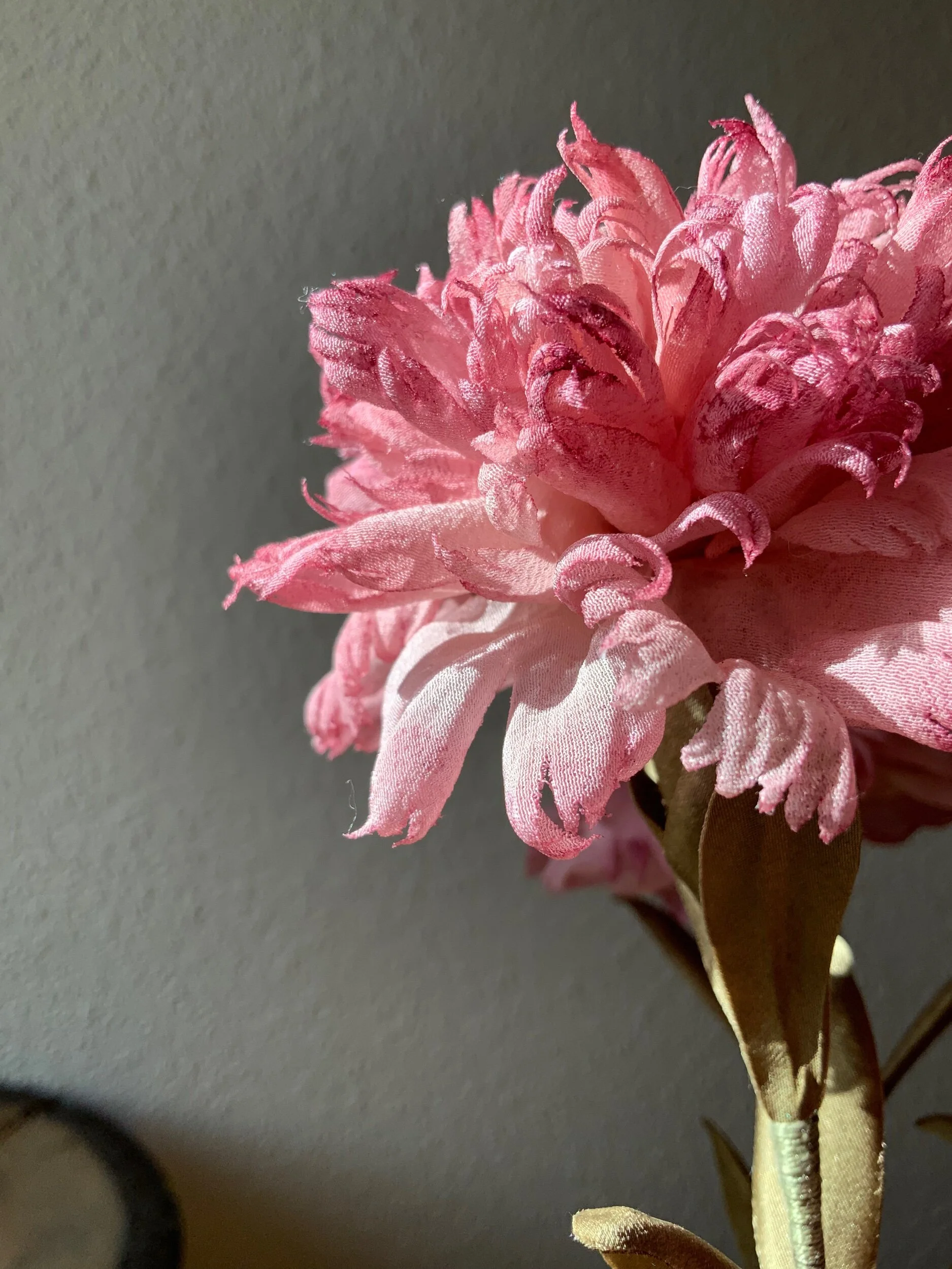 EB2A8915-D0CC-4B2B-9A13-AA2A8BBAED3C