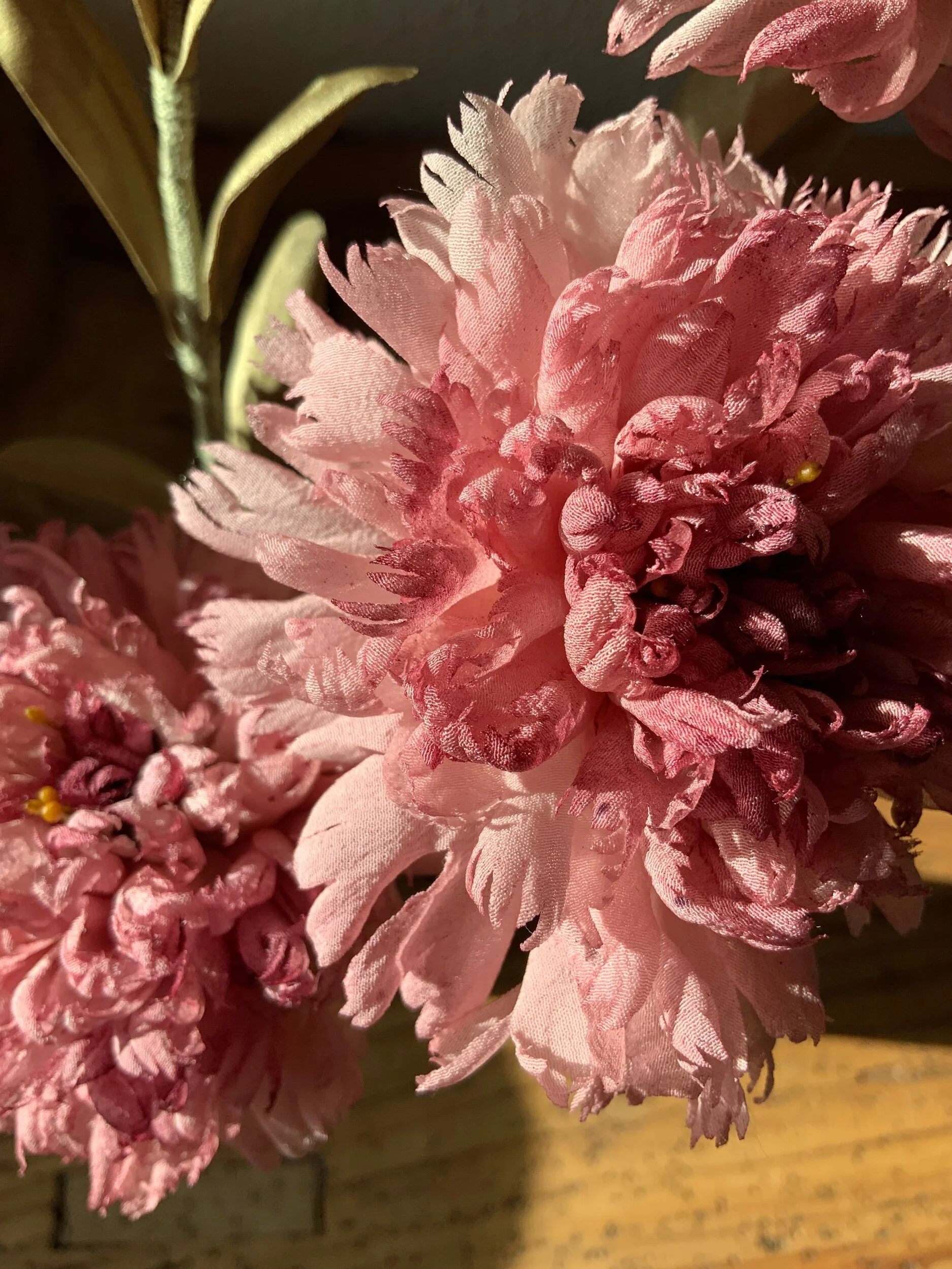 9FAFC47E-2150-45EC-9675-3D2EDC140758