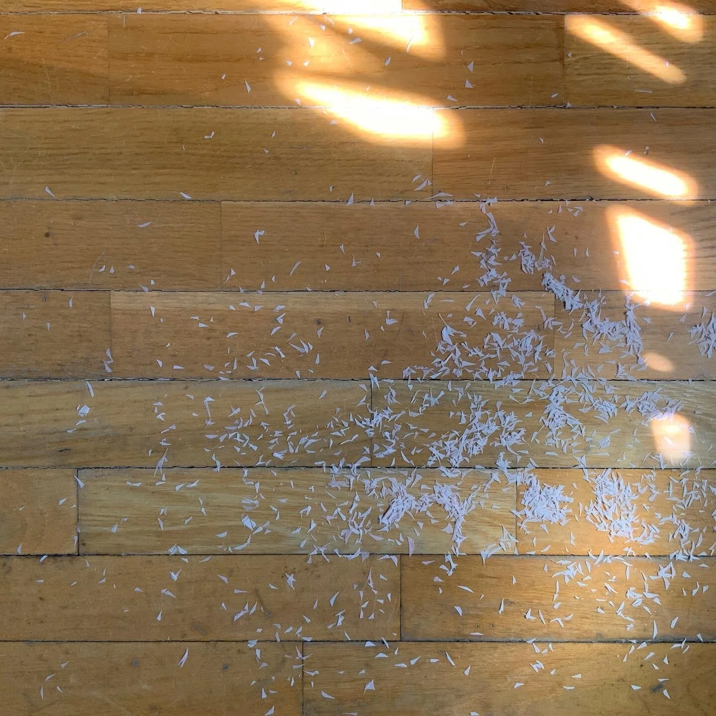 6B82AB0F-8A1A-4CD6-A5F2-8CF0C58B3E99