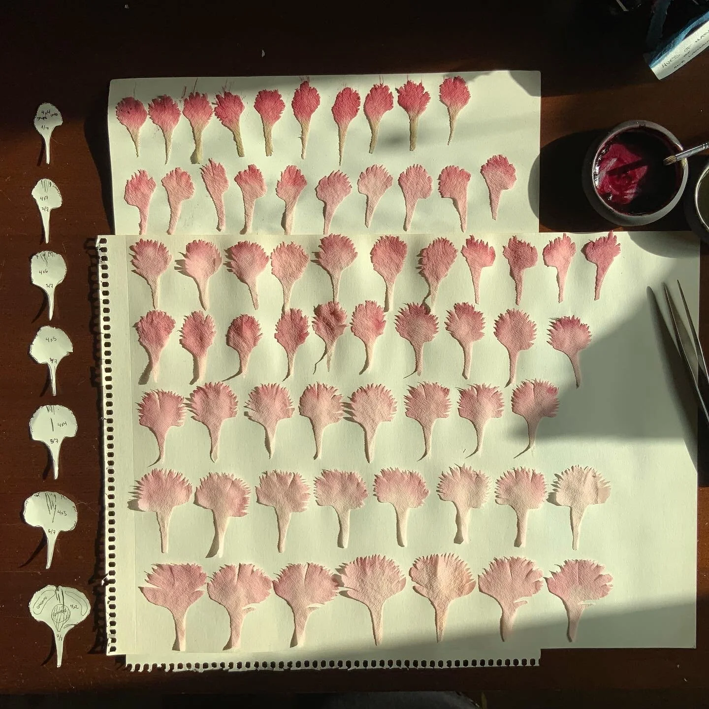 B782DE55-A06E-48F7-8117-8215035518AF