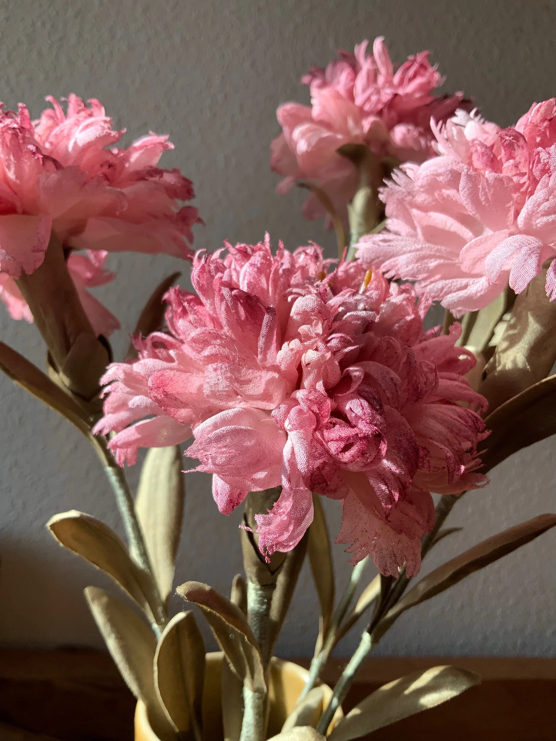 D1AC3E77-F119-4123-83C8-B59450A8C519