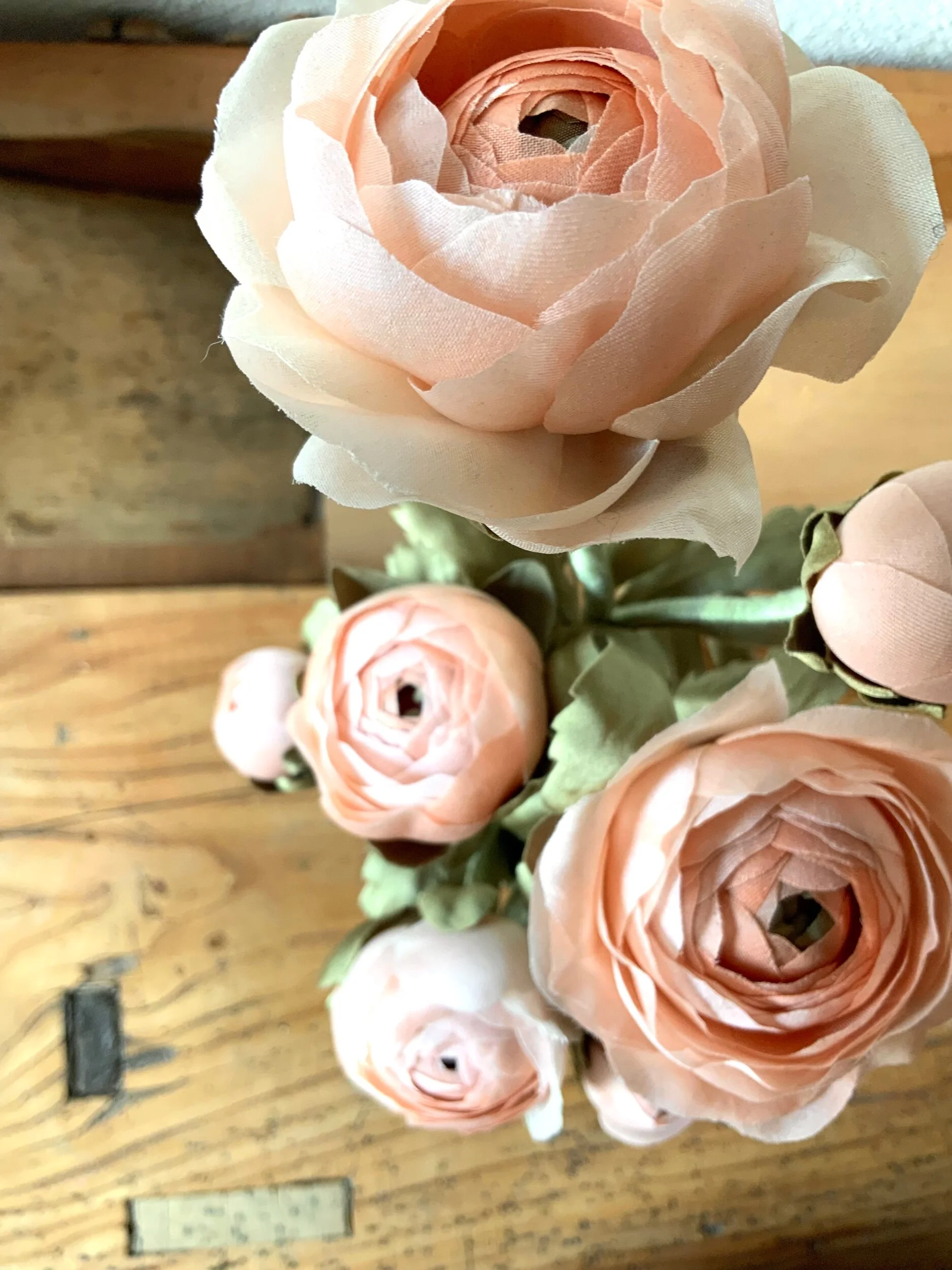 C5B926A2-EC6D-4A19-A1F5-39C0A96ED4D5