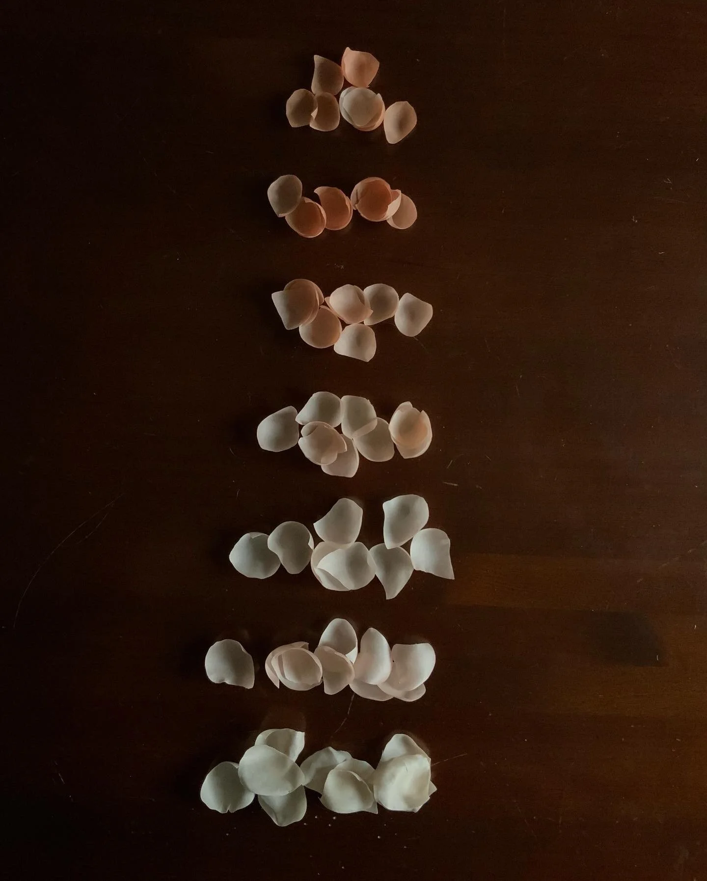 C1F57E62-E59C-4919-98CD-041C6EC7FF31