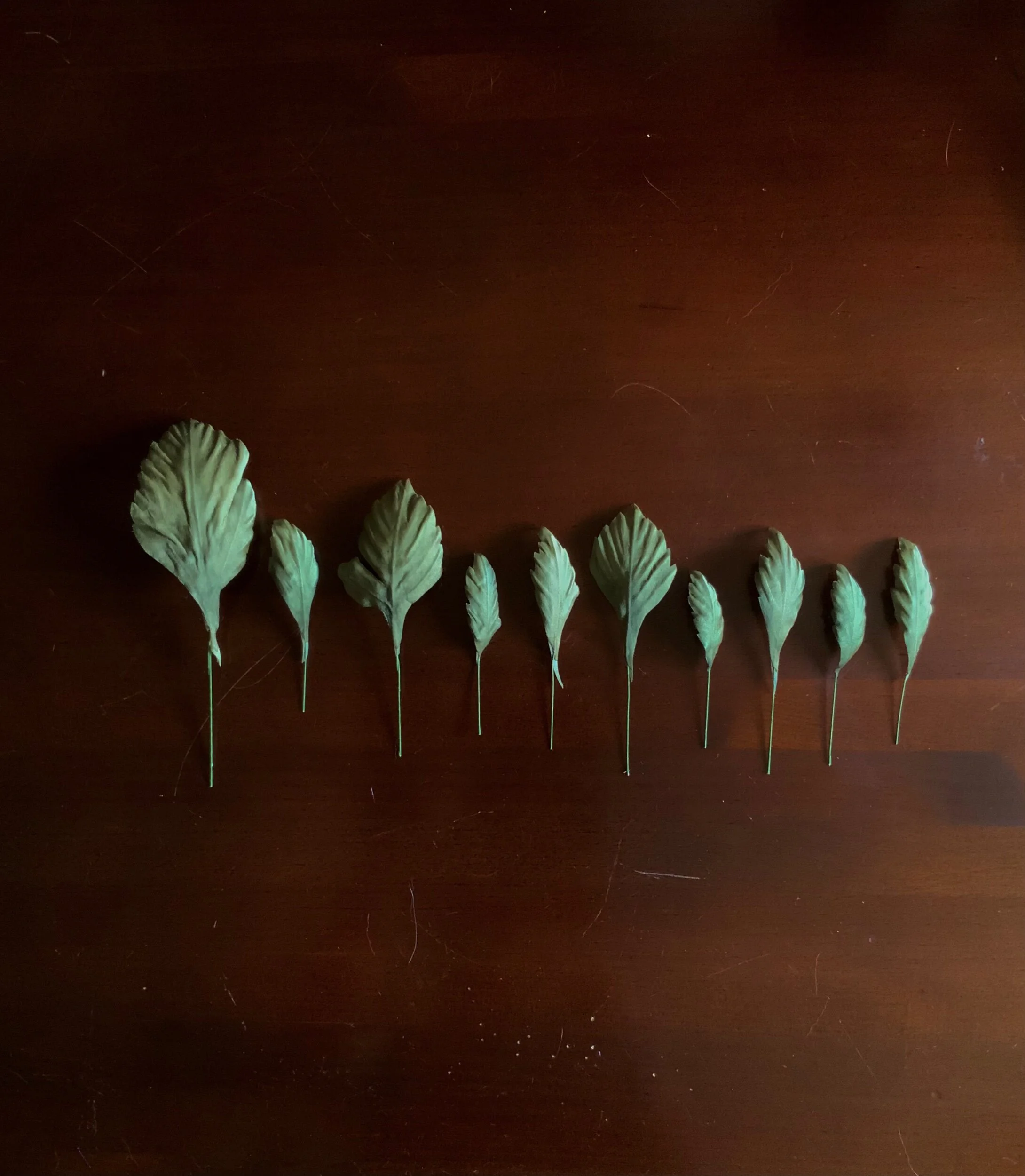 0298B81A-6833-4E93-8997-77BD8DE89379