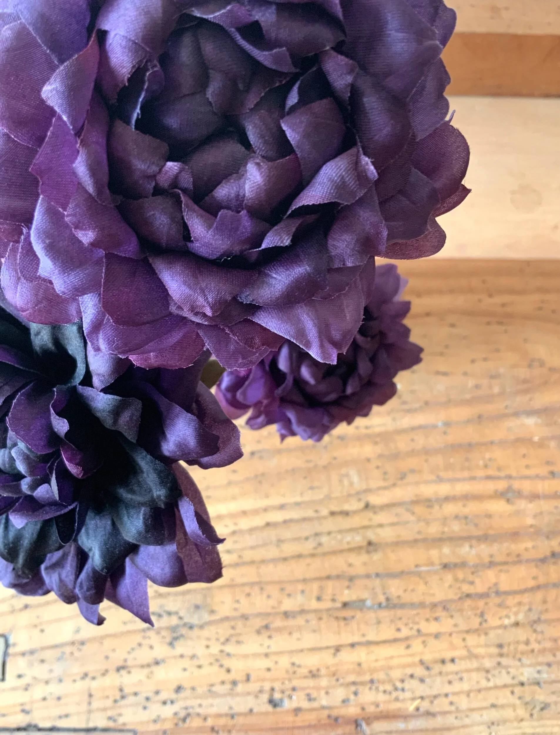 AEAE89FA-A650-422A-B7F9-E48C61642146