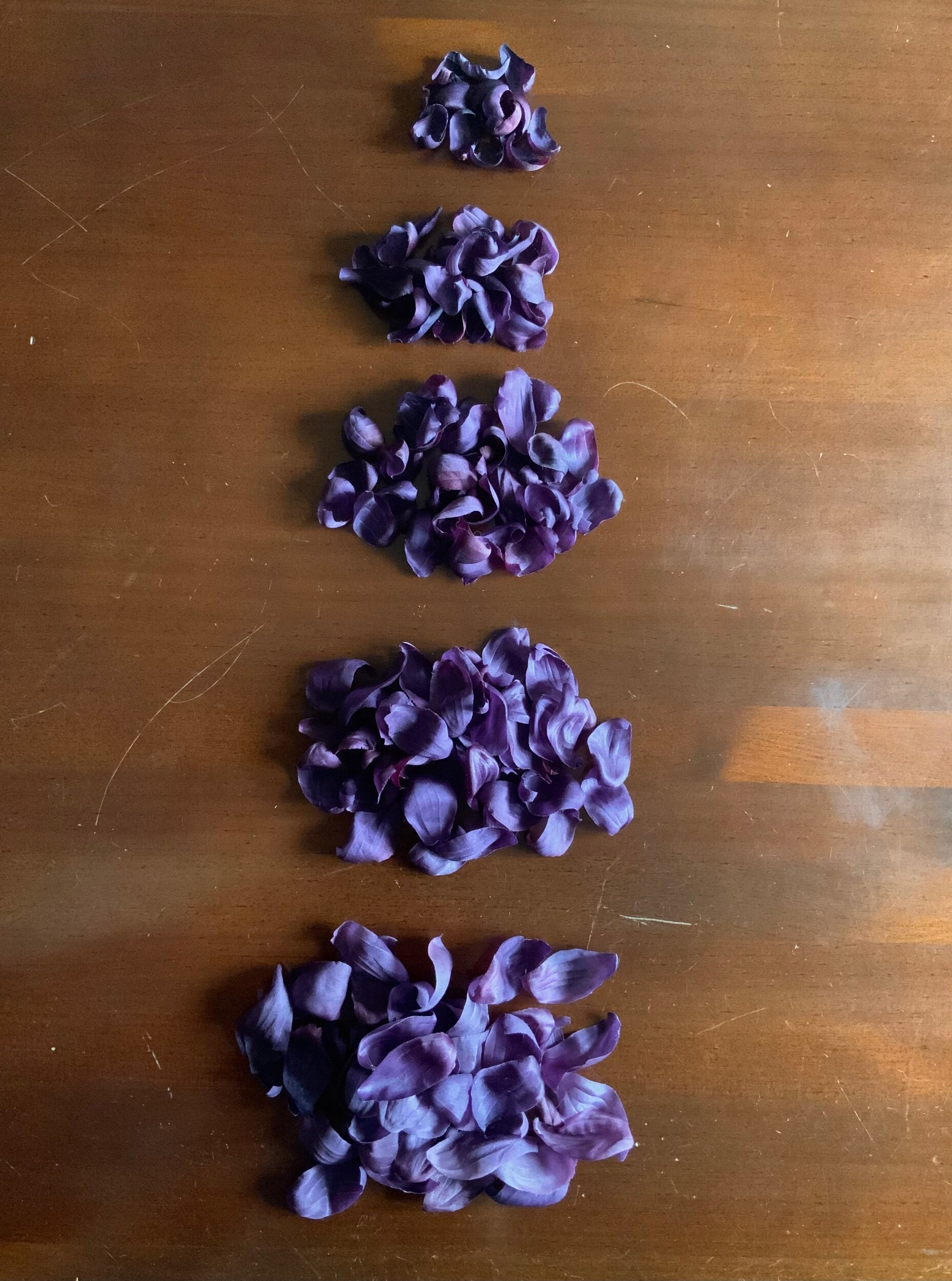 39D89E88-F00A-4CA5-AA12-368E37719555