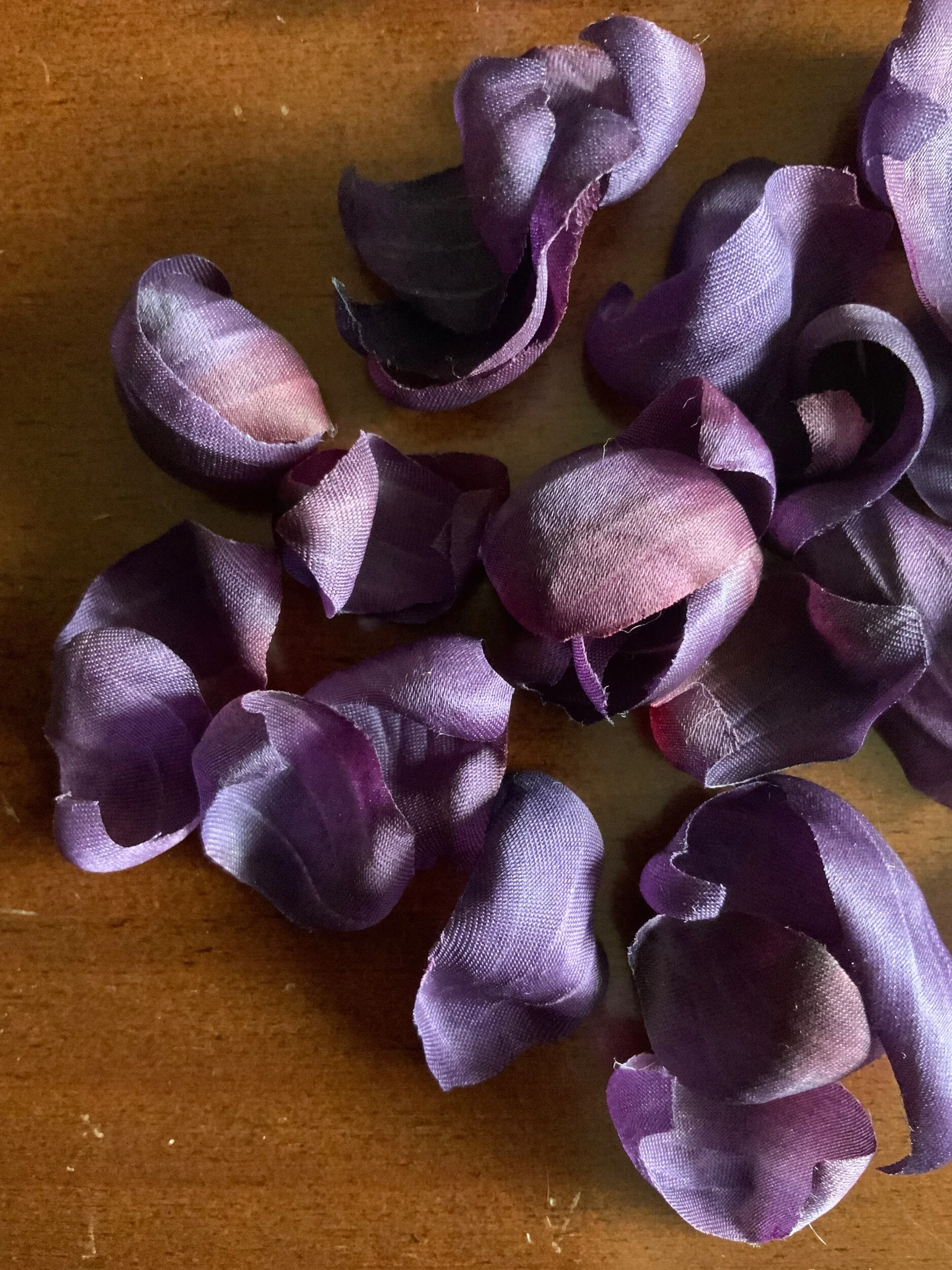 923EE7B7-8873-4134-8B44-379FE06E7AD7