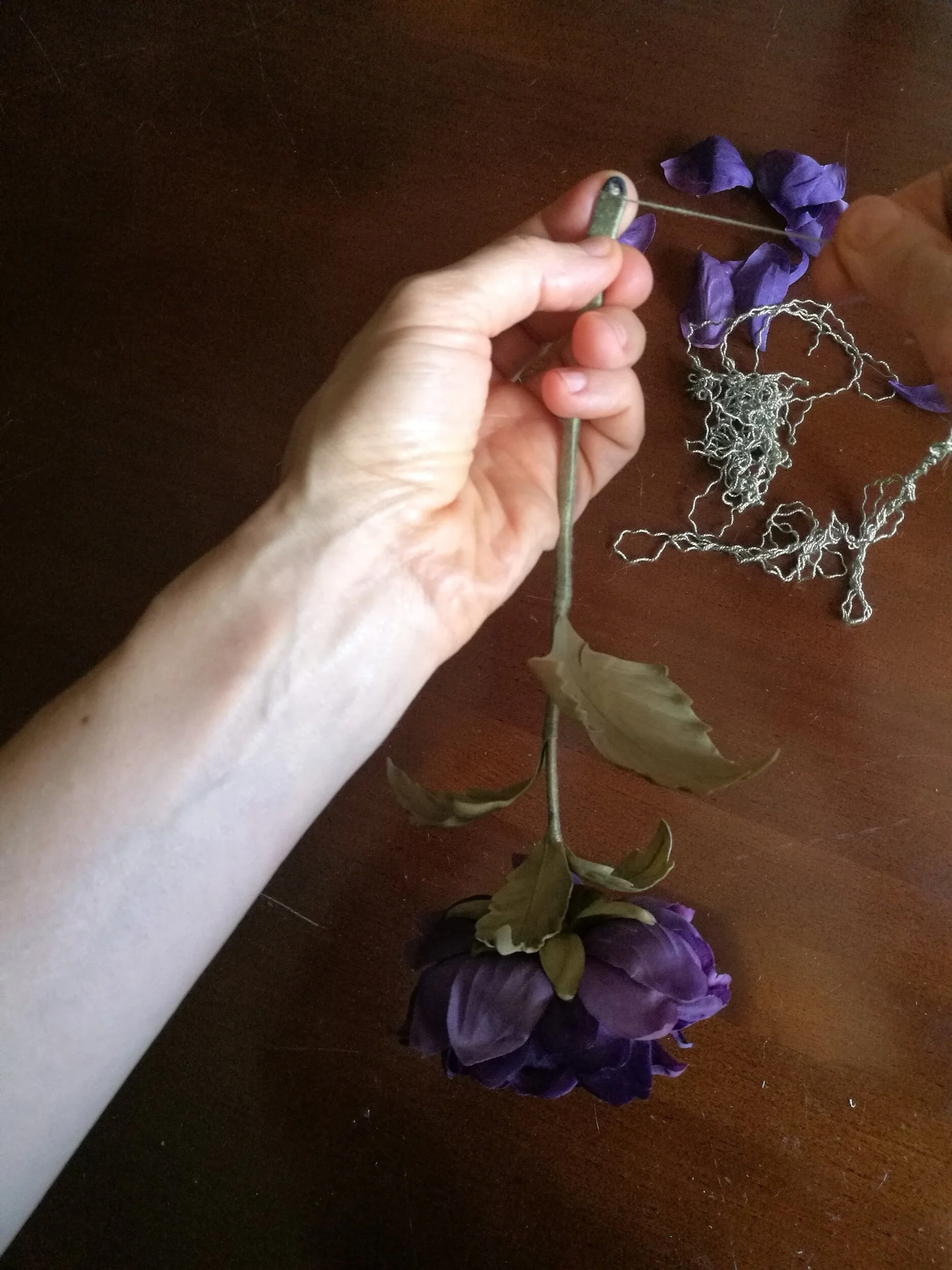 613C602D-38F1-4AB9-8AEF-E873EF0B990B