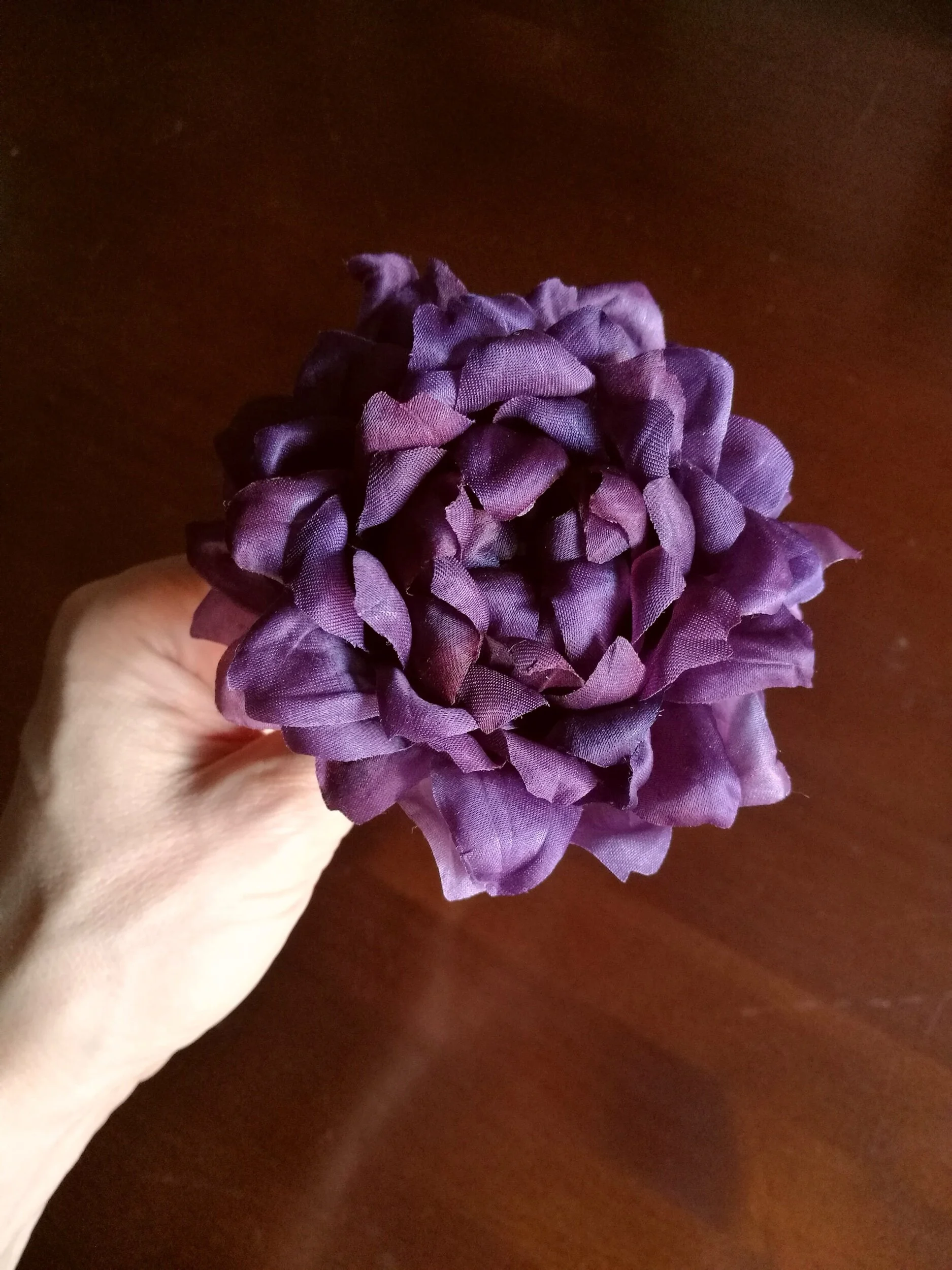 EFE233A7-76F9-48D2-8160-302FCFD98813